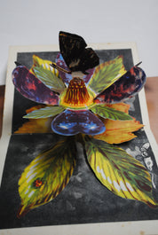 Bookano Stories with pictures that spring up in model form. No. 1