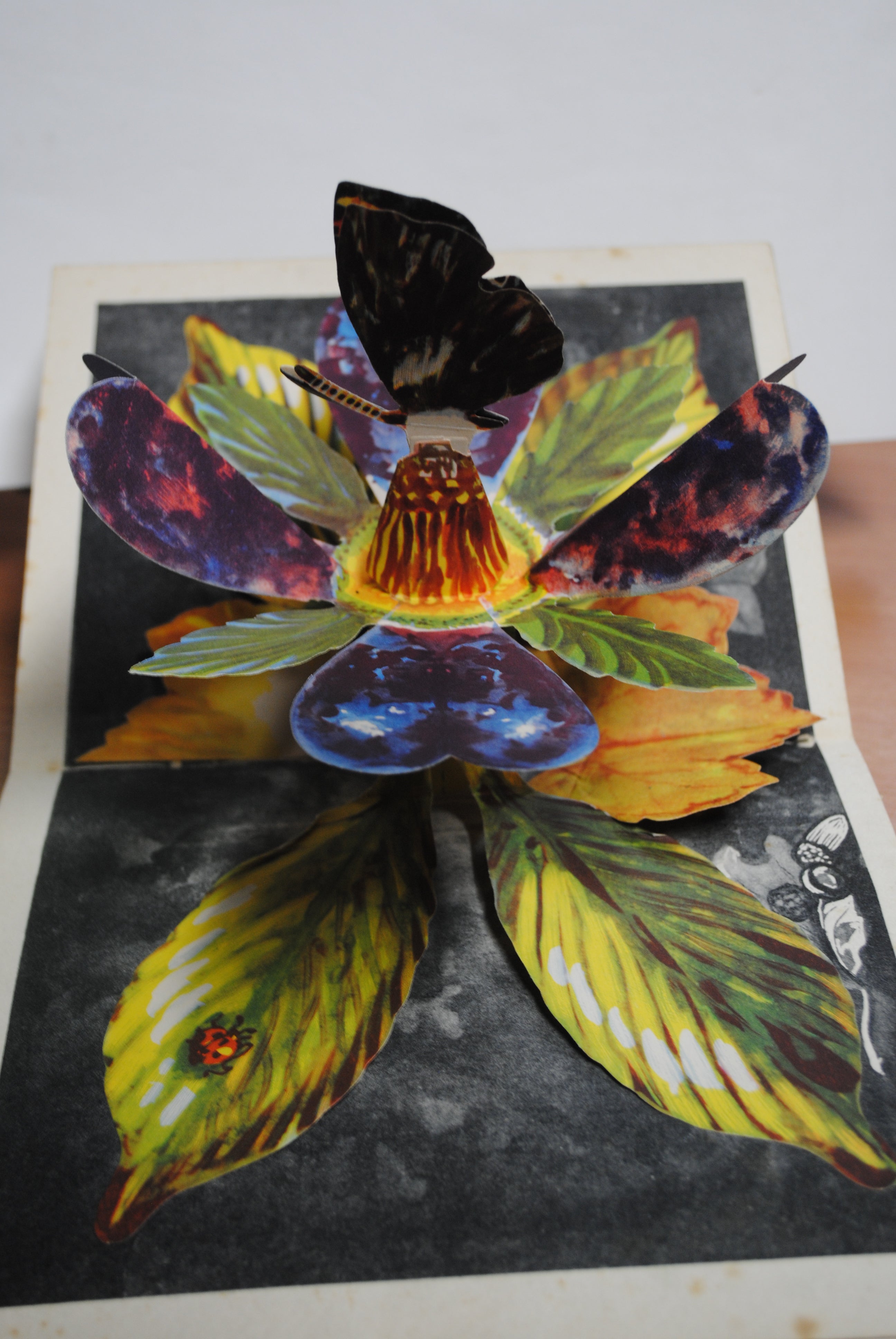 Bookano Stories with pictures that spring up in model form. No. 1