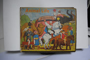 Bookano Animal Life, in Fact,Fun and fancy