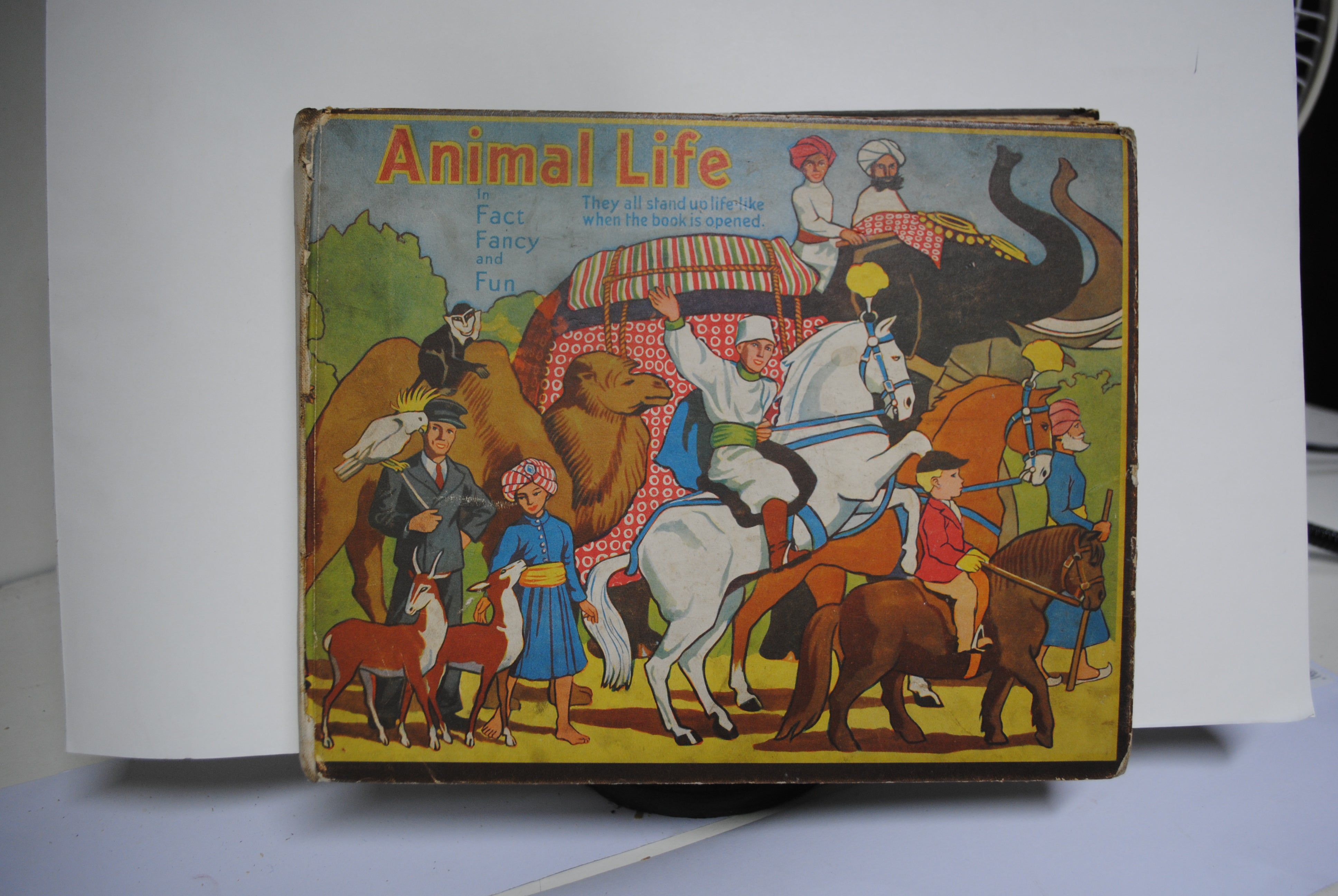 Bookano Animal Life, in Fact,Fun and fancy