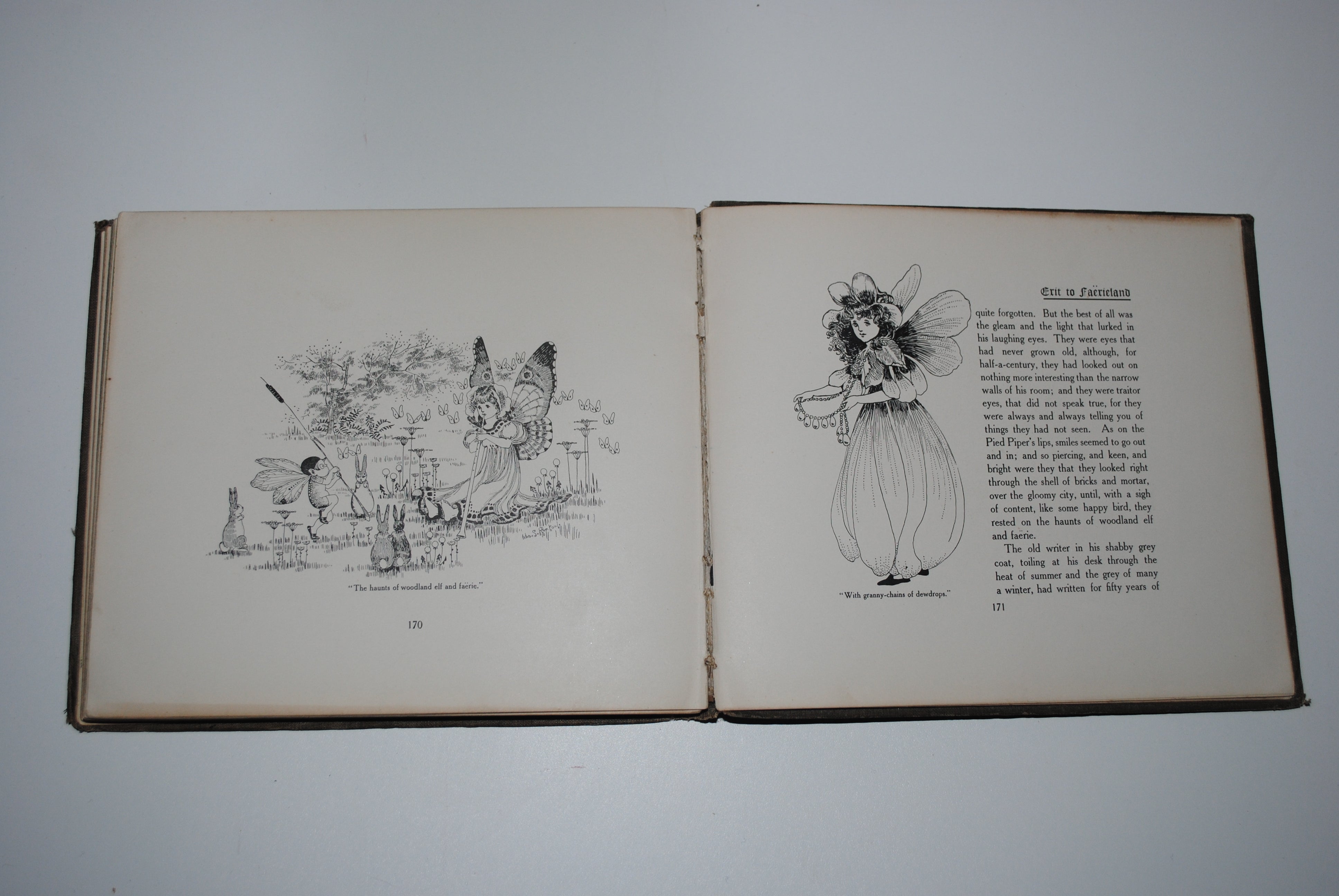 Gum Tree Brownie ~ by Tarella Quin with illustrations by Ida S Rentoul (Ida Rentoul Outhwaite)