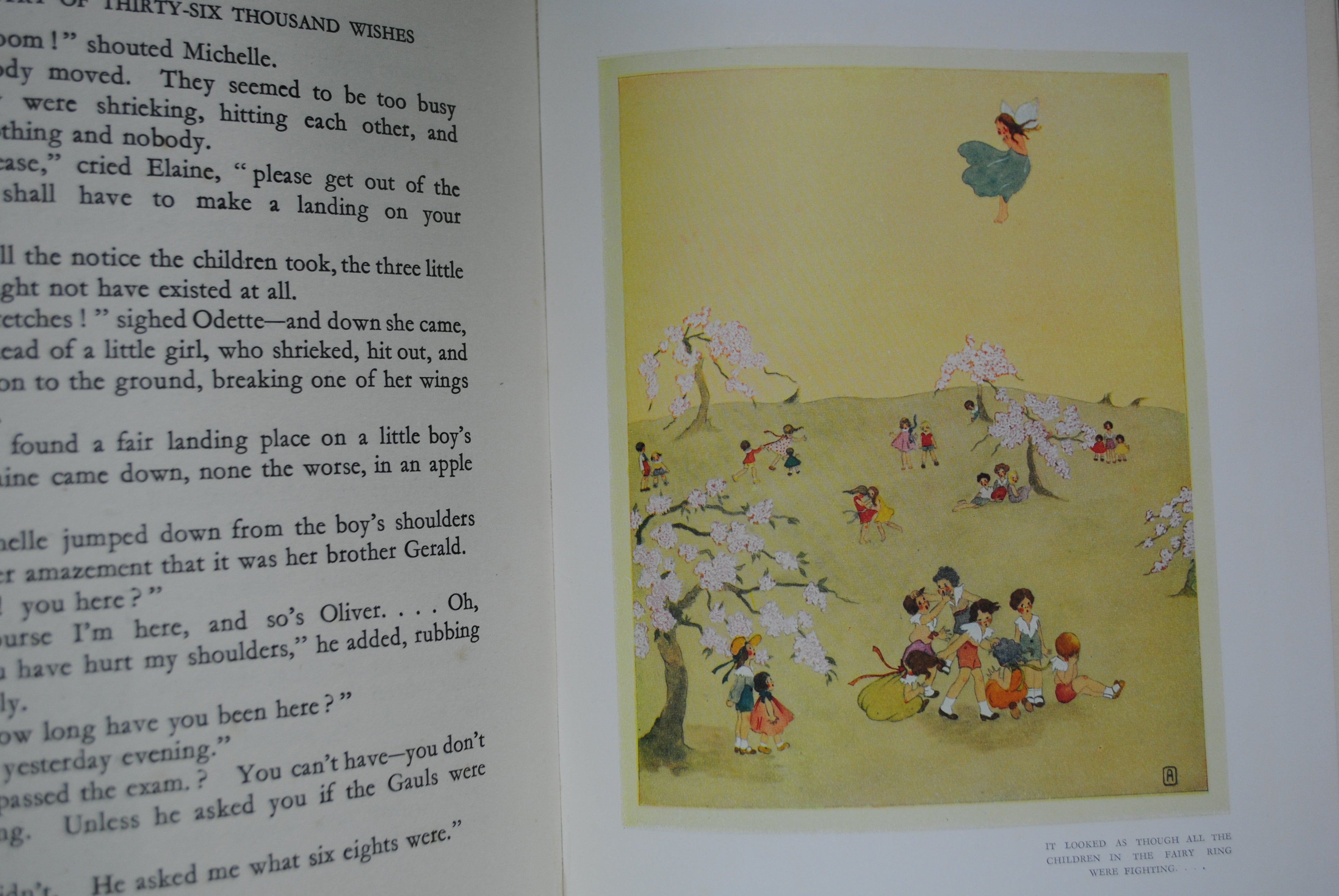The Country of Thirty six Thousand wishes