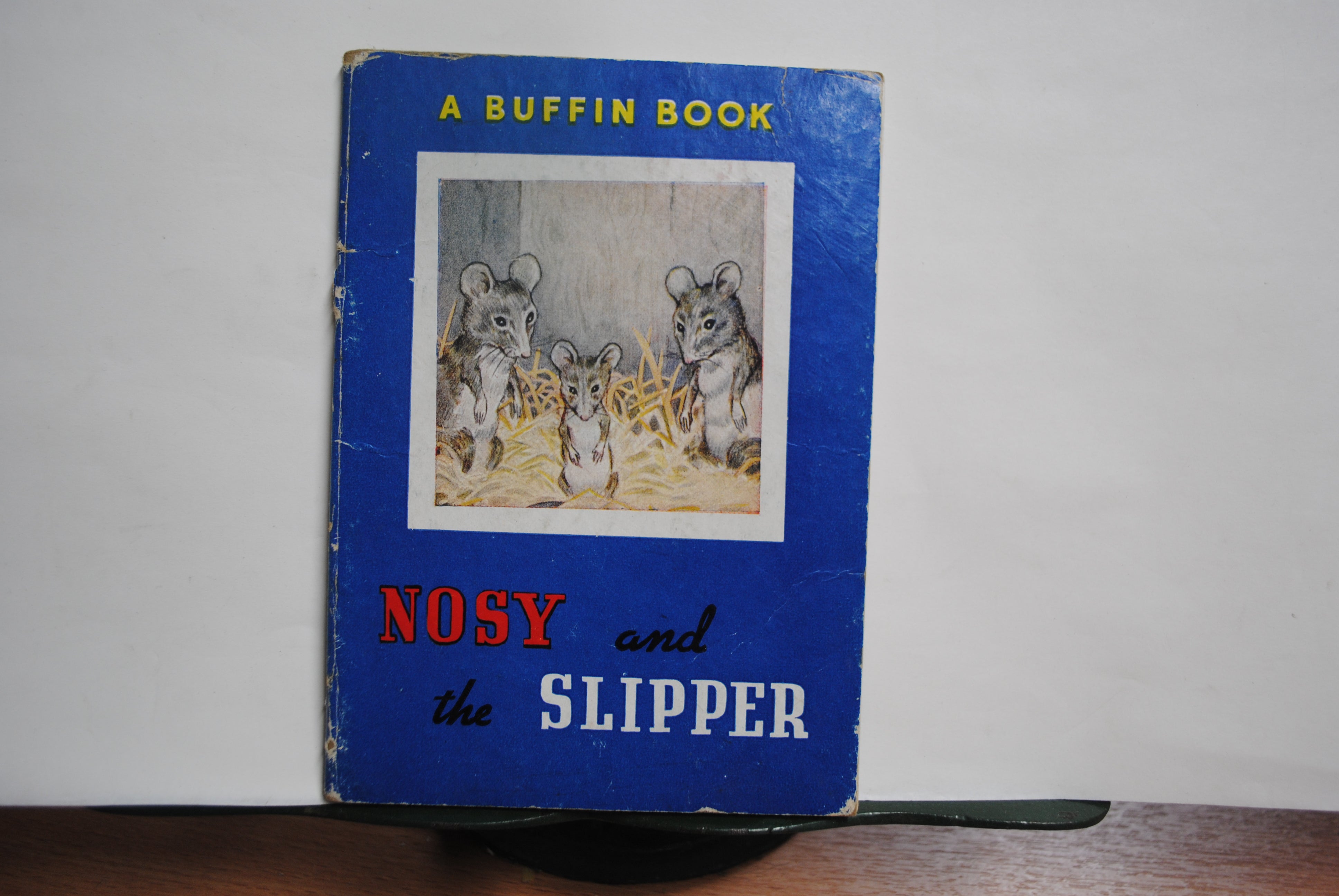 Nosey and the Slipper ~ A Buffin Book