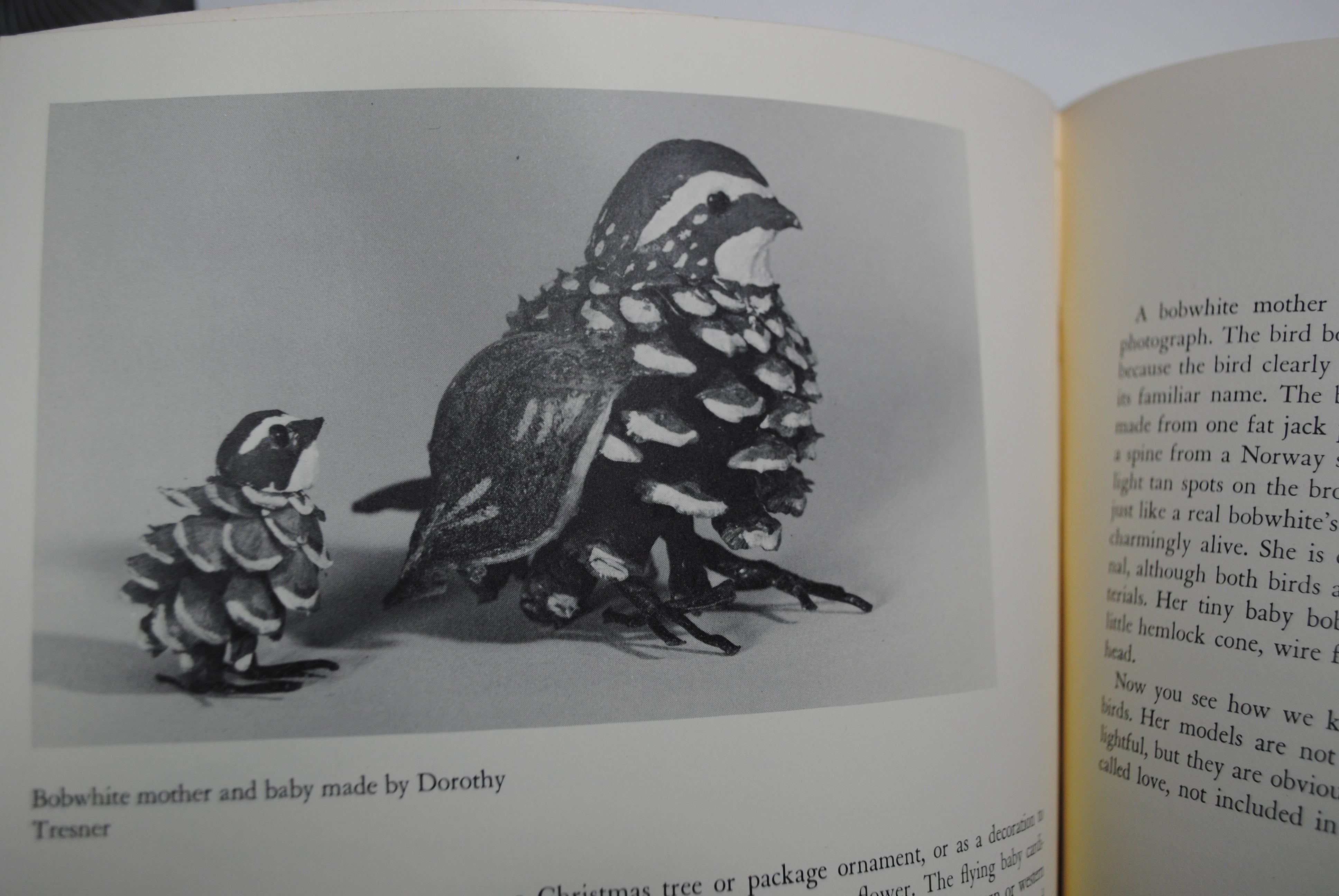 Whirligigs and Whimmy Diddles (How to make )