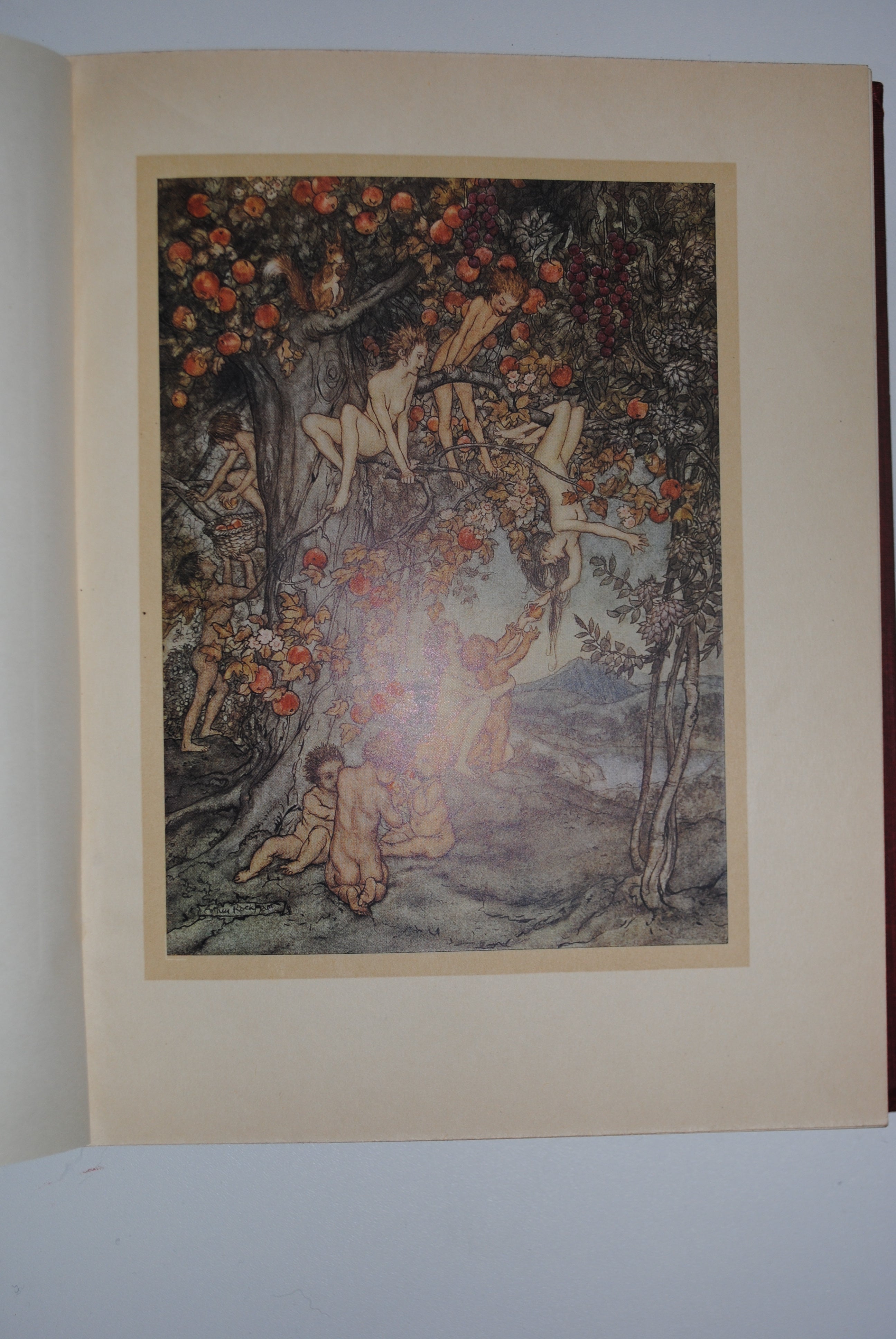 Hawthorne's Wonderbook, Nathaniel Hawthorne's  collection illustrated by Arthur Rackham