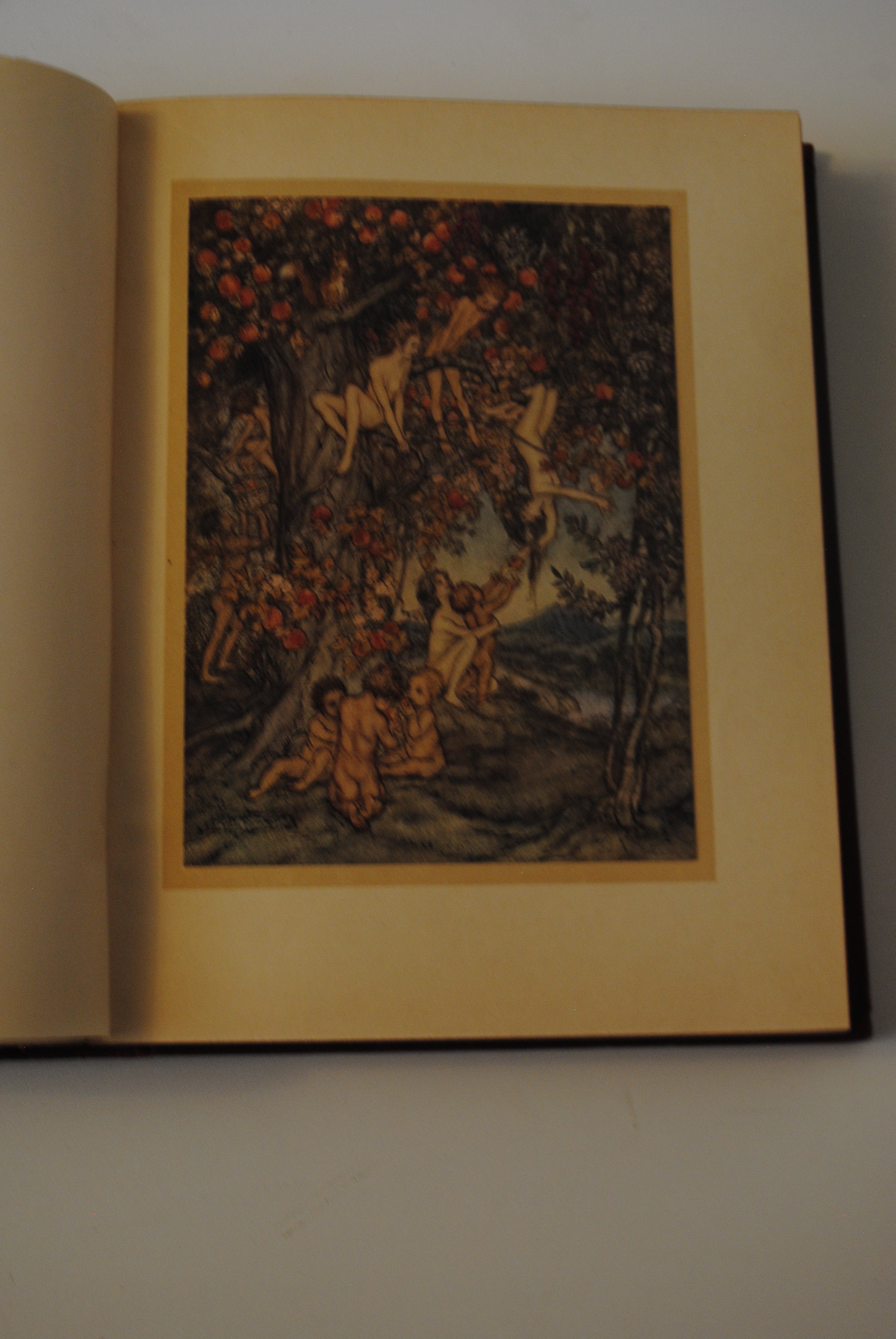 Hawthorne's Wonderbook, Nathaniel Hawthorne's  collection illustrated by Arthur Rackham