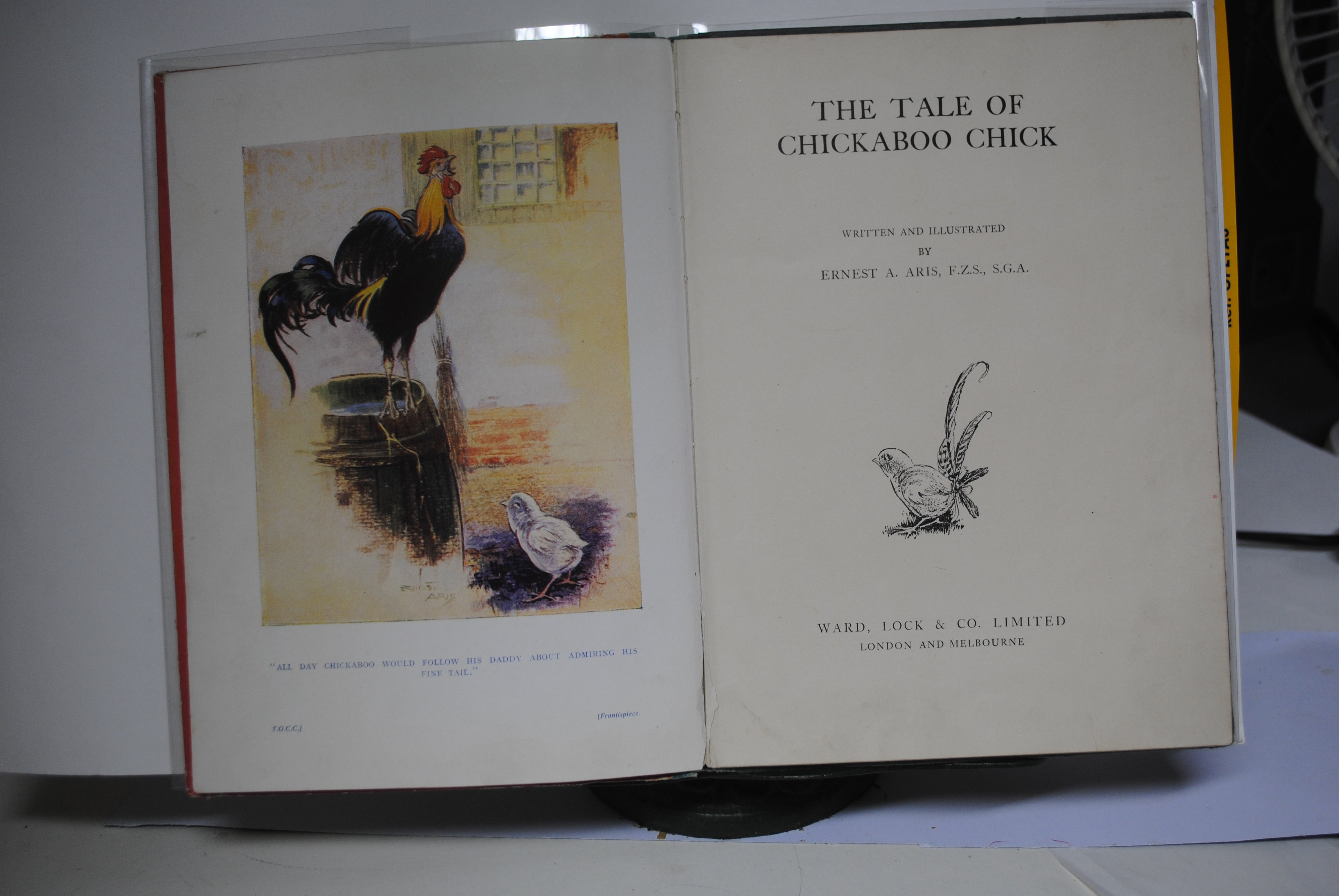 The Tale of Chickaboo Chick