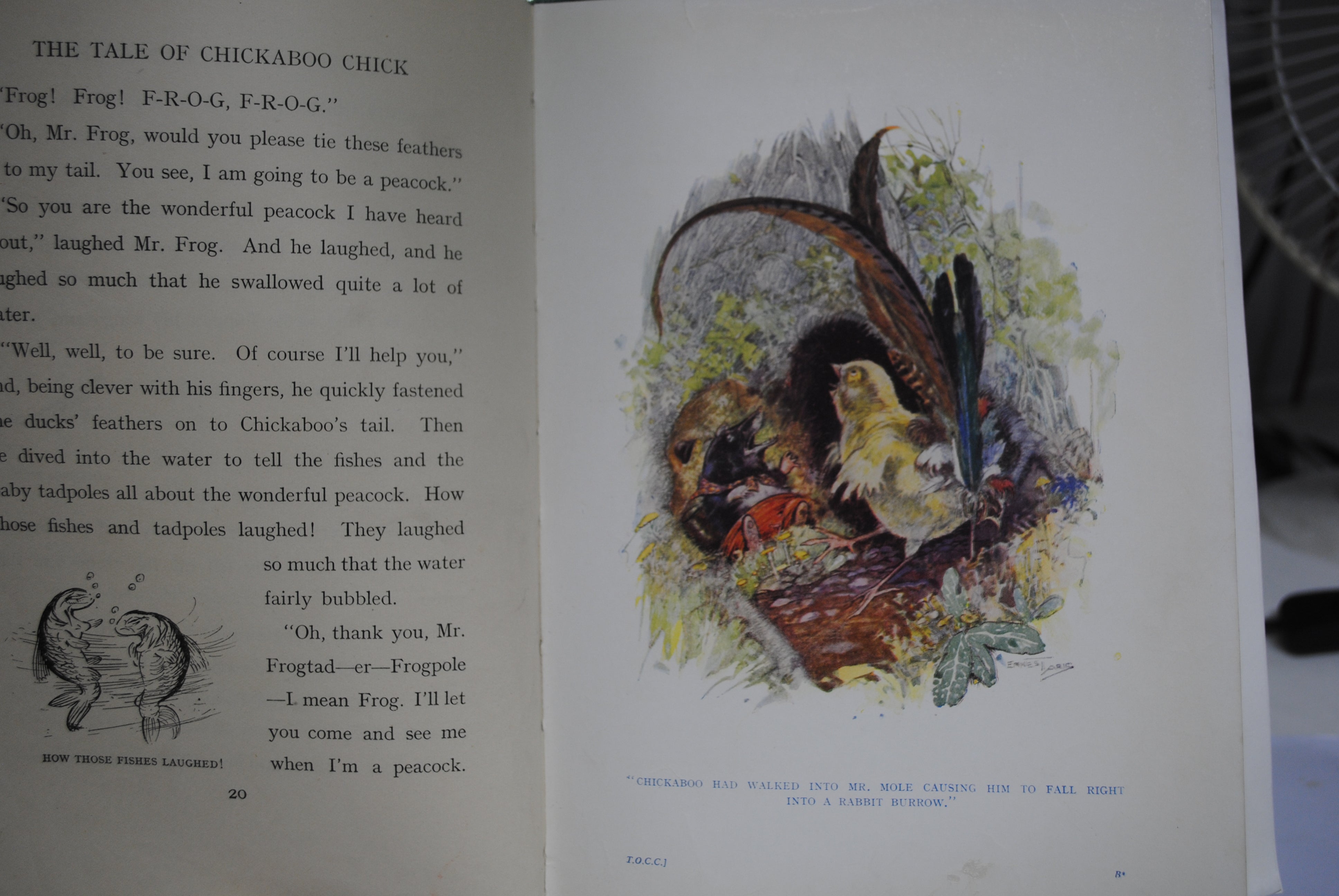 The Tale of Chickaboo Chick