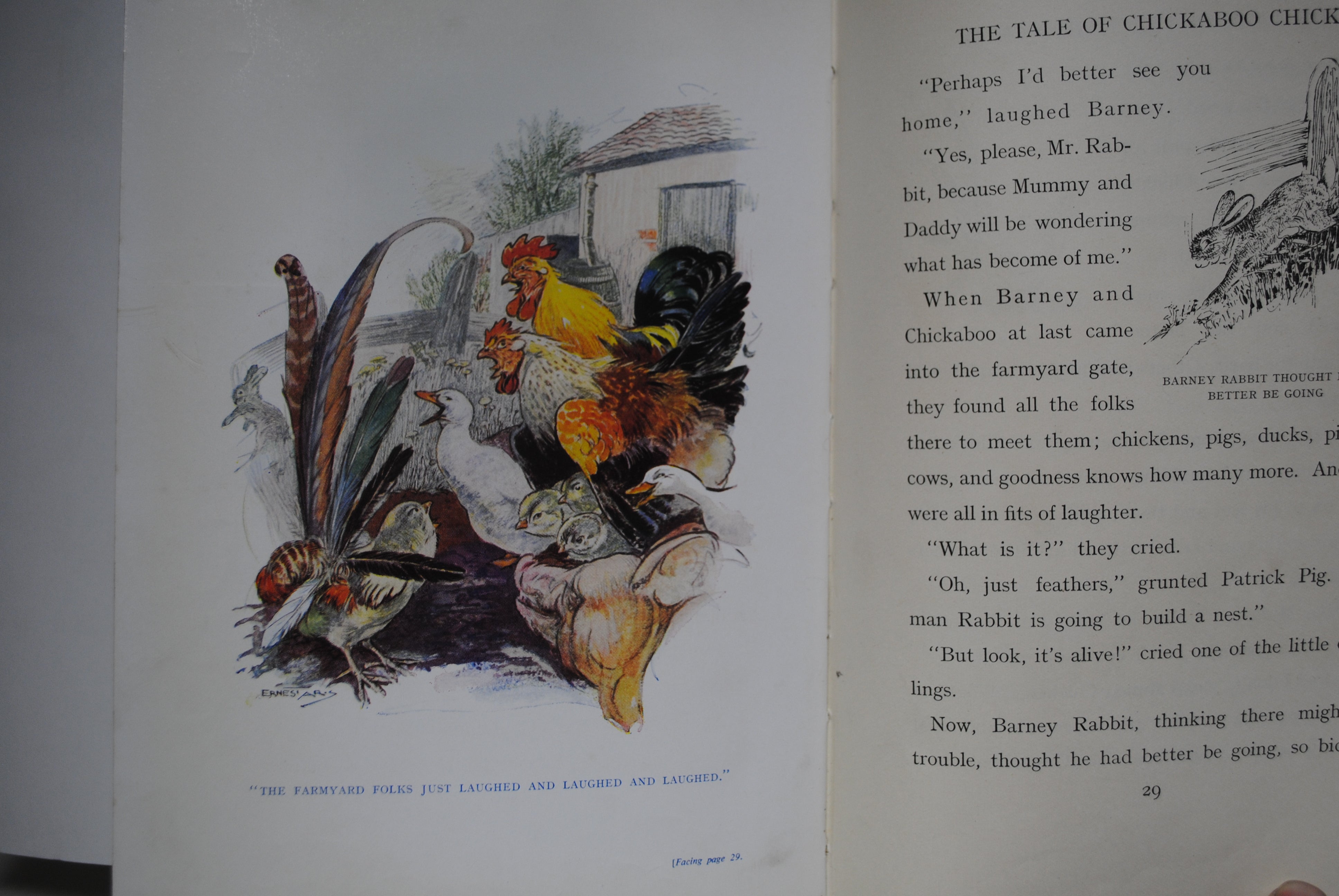 The Tale of Chickaboo Chick