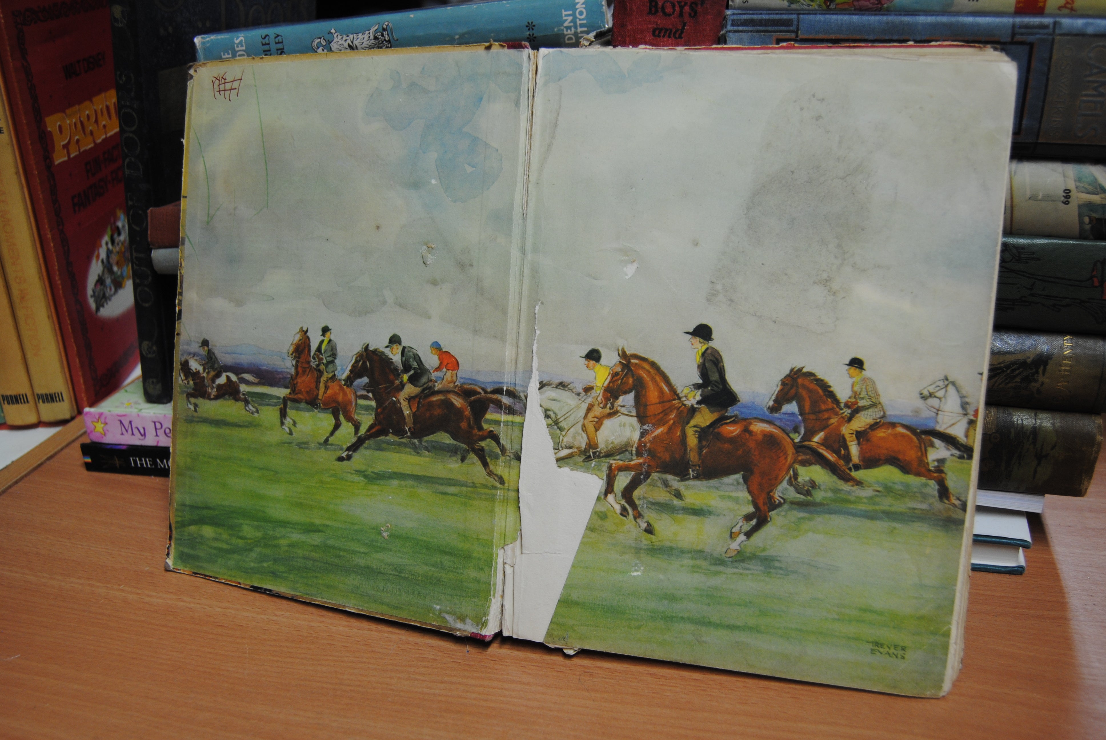 The Treasure Book of the World