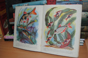 The Treasure Book of the World