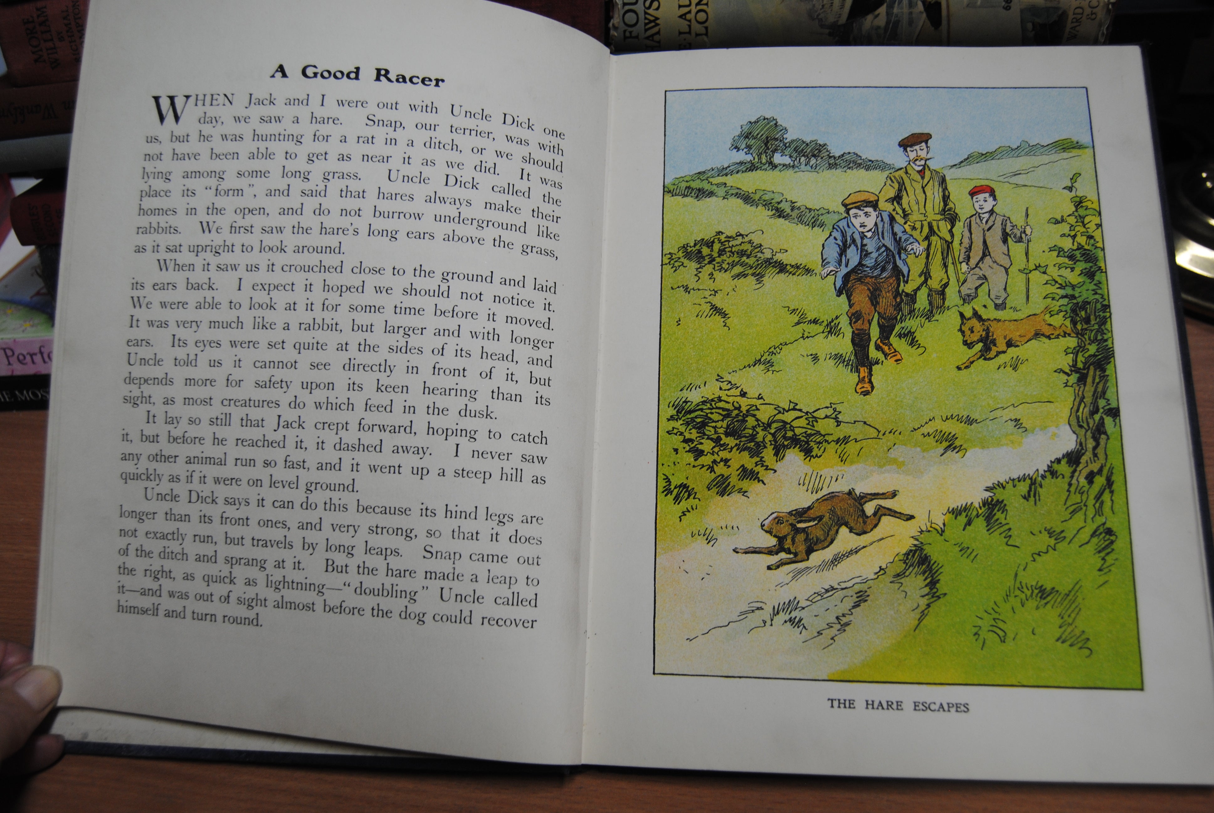 Out of Doors Nature Stories for Children by Alice Talwin Morris