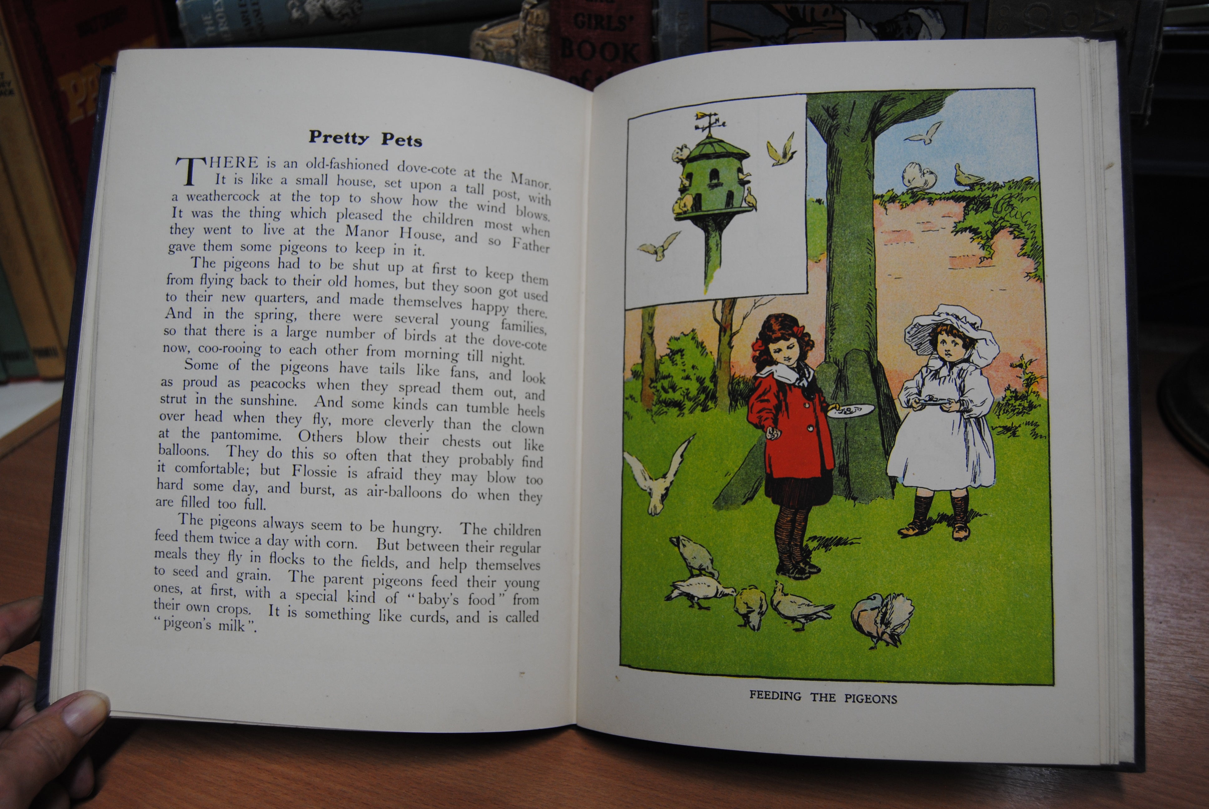 Out of Doors Nature Stories for Children by Alice Talwin Morris