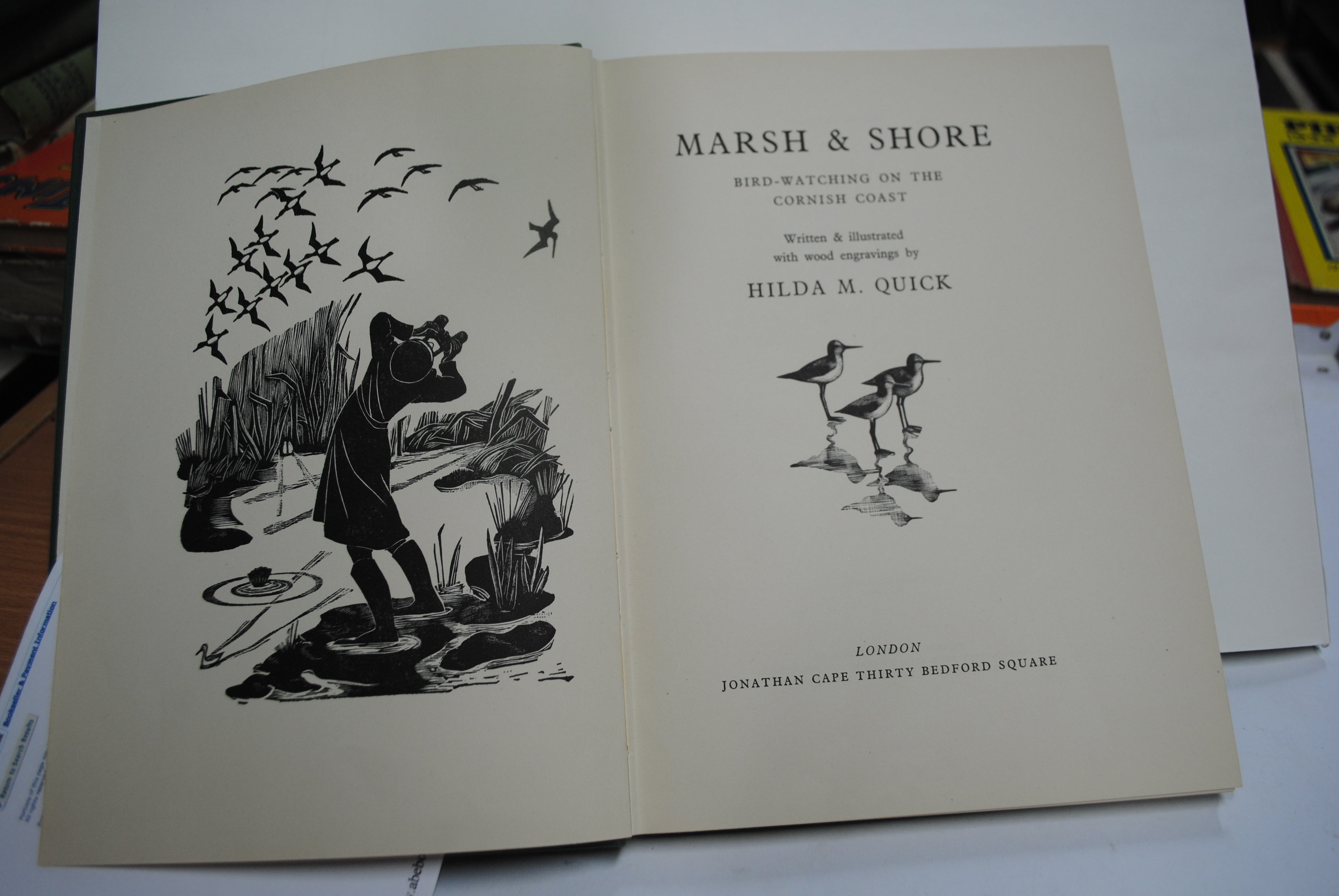 Marsh and Shore (Bird watching on the Cornish coast)