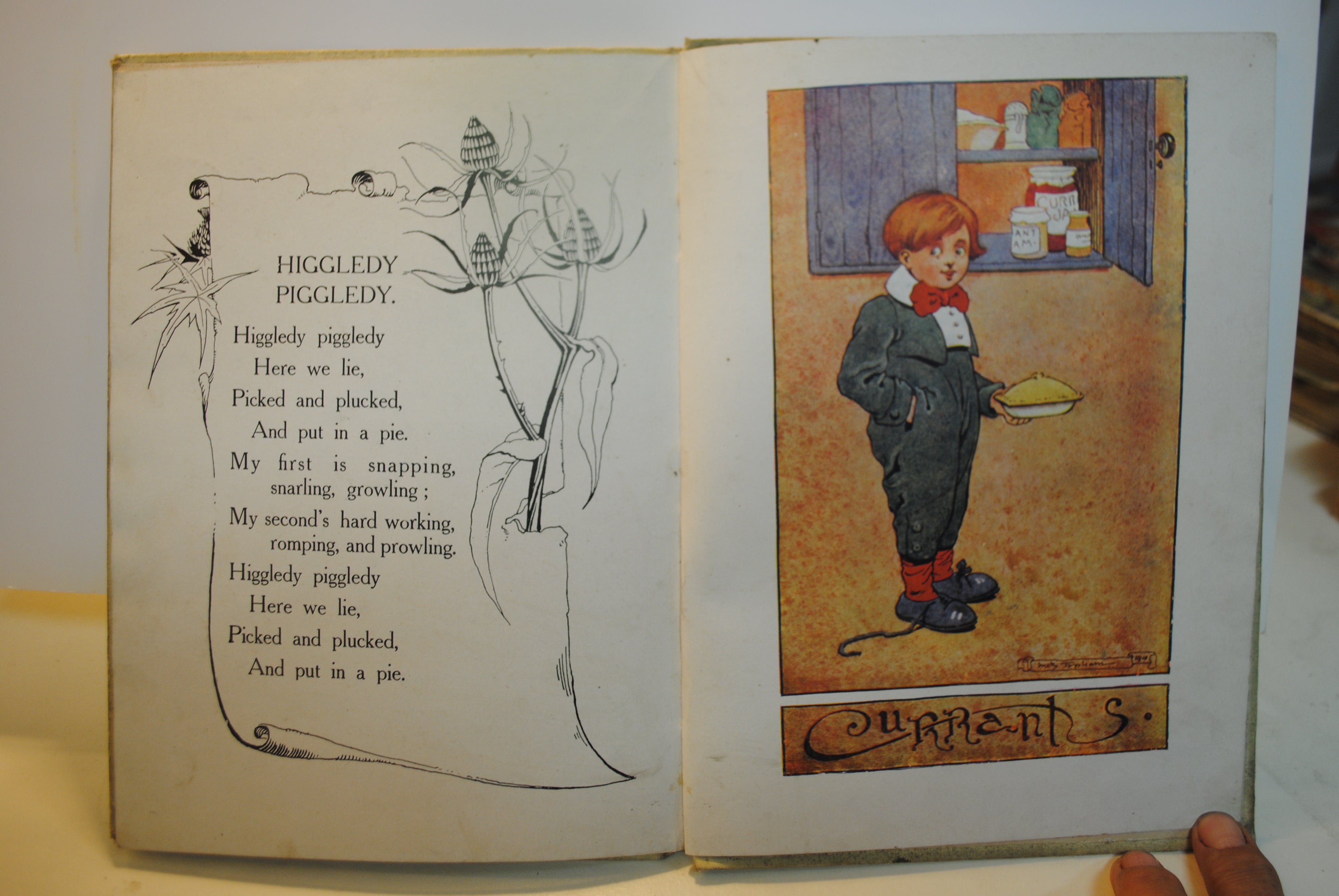 The Higgledy Piggledy Book