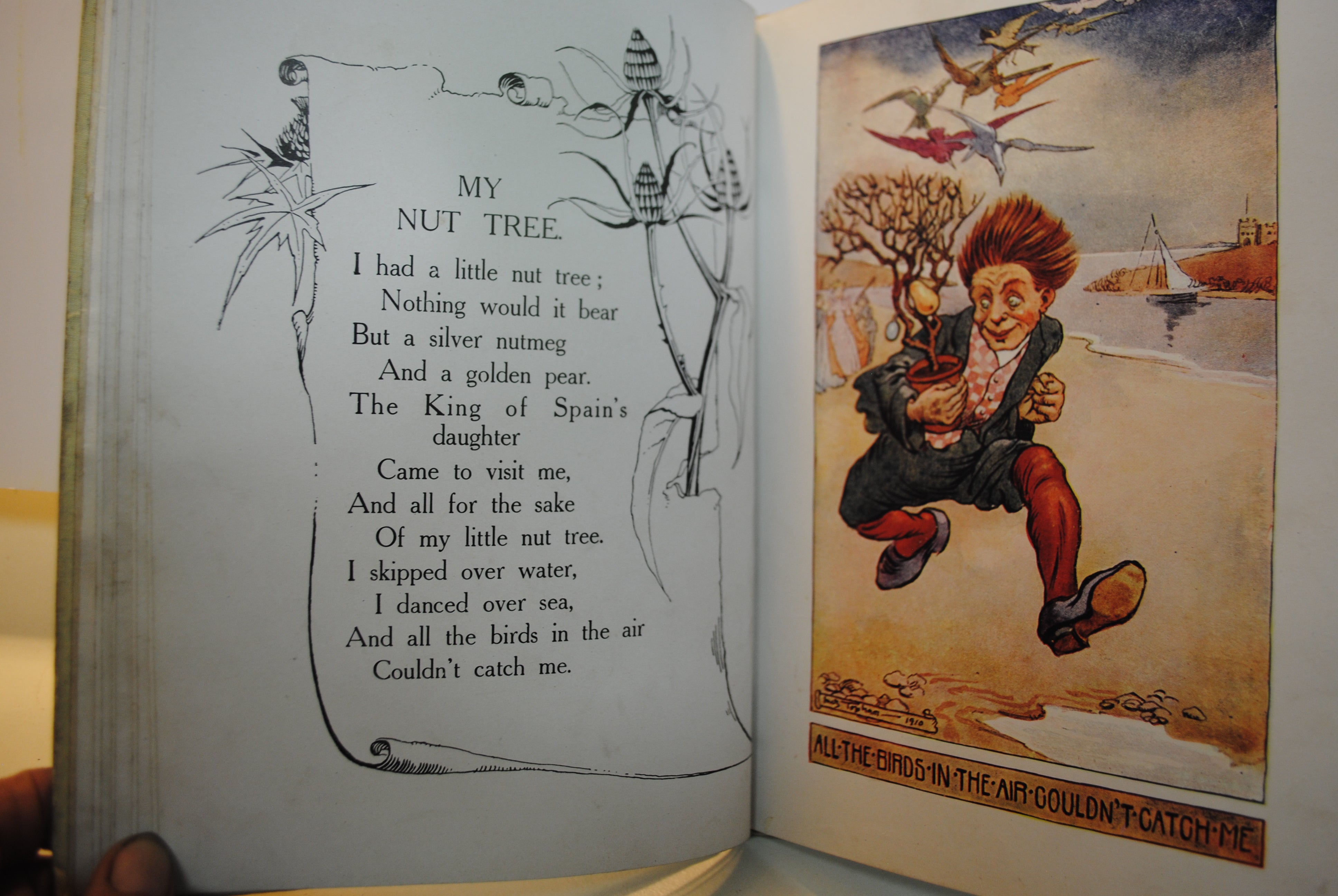 The Higgledy Piggledy Book