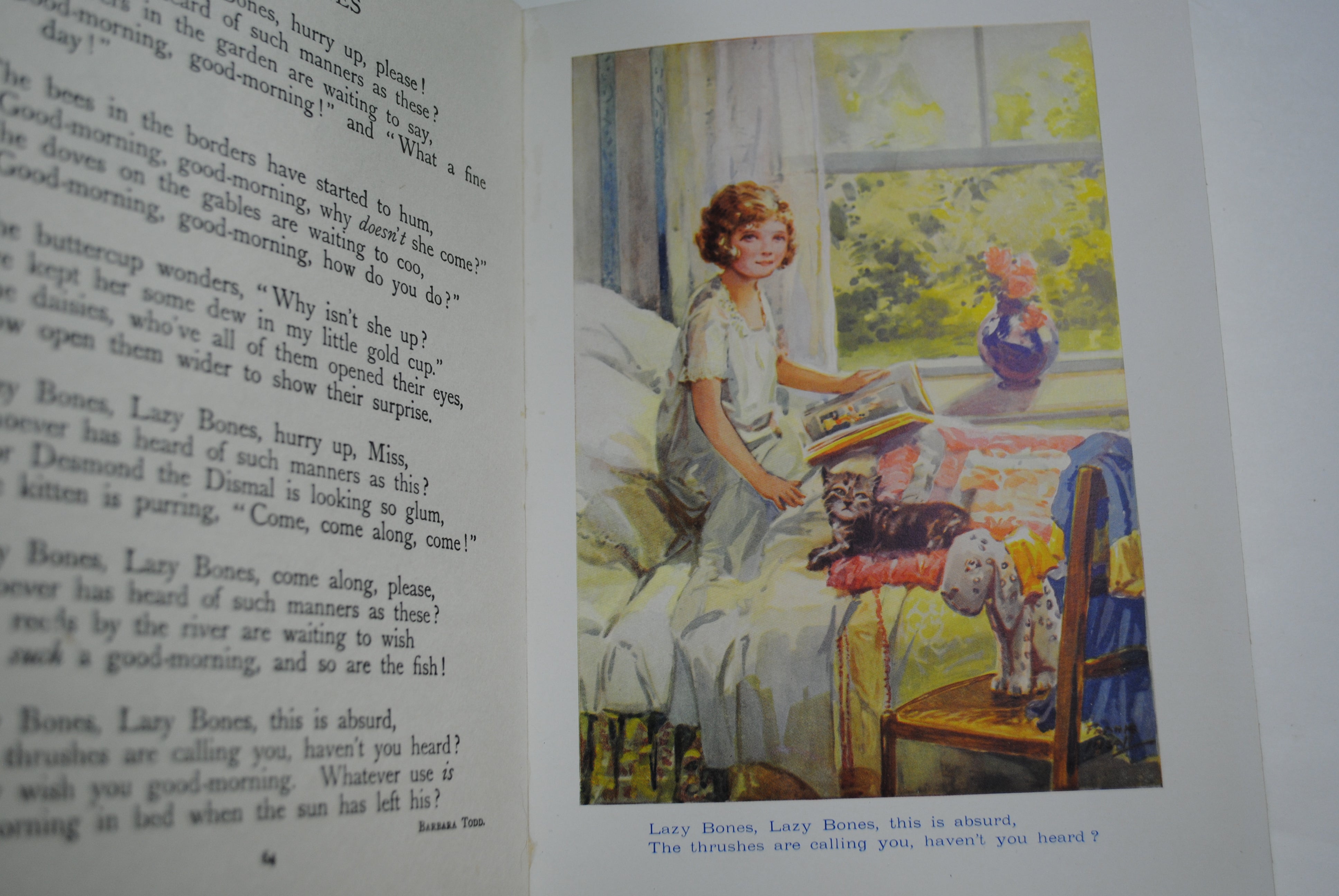 The Chummy Book ~ Nineteenth Year