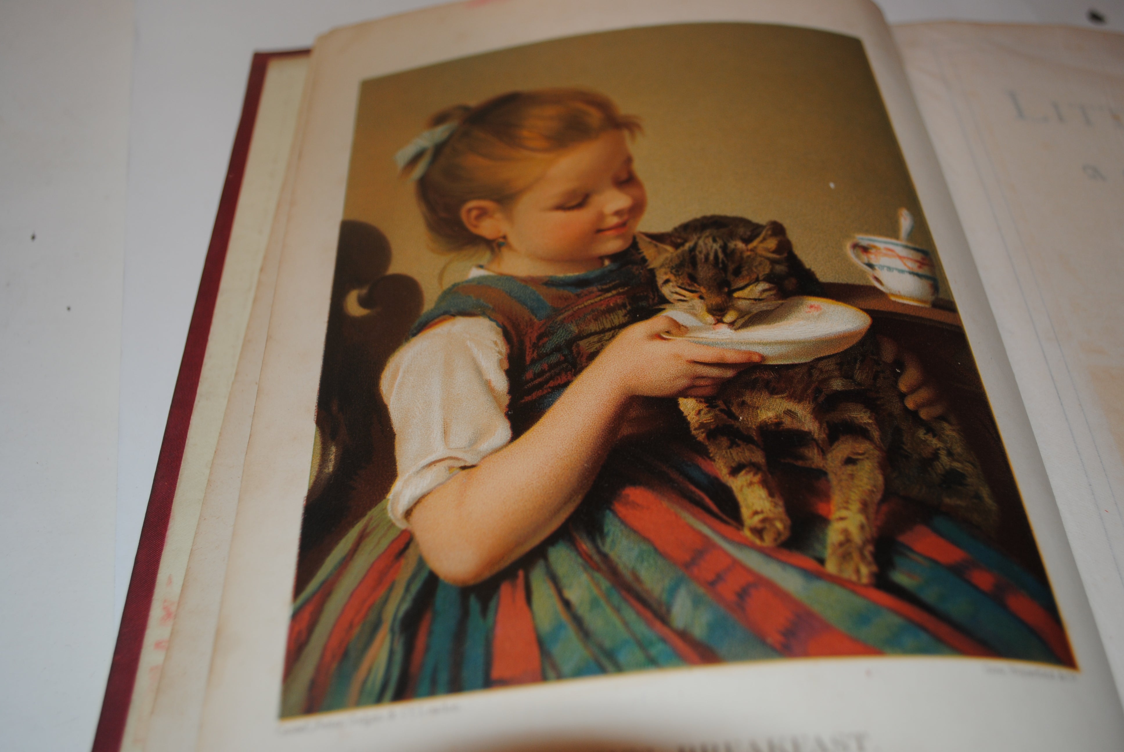 Little Folks undated ~ Early ~ beautiful embossed cover
