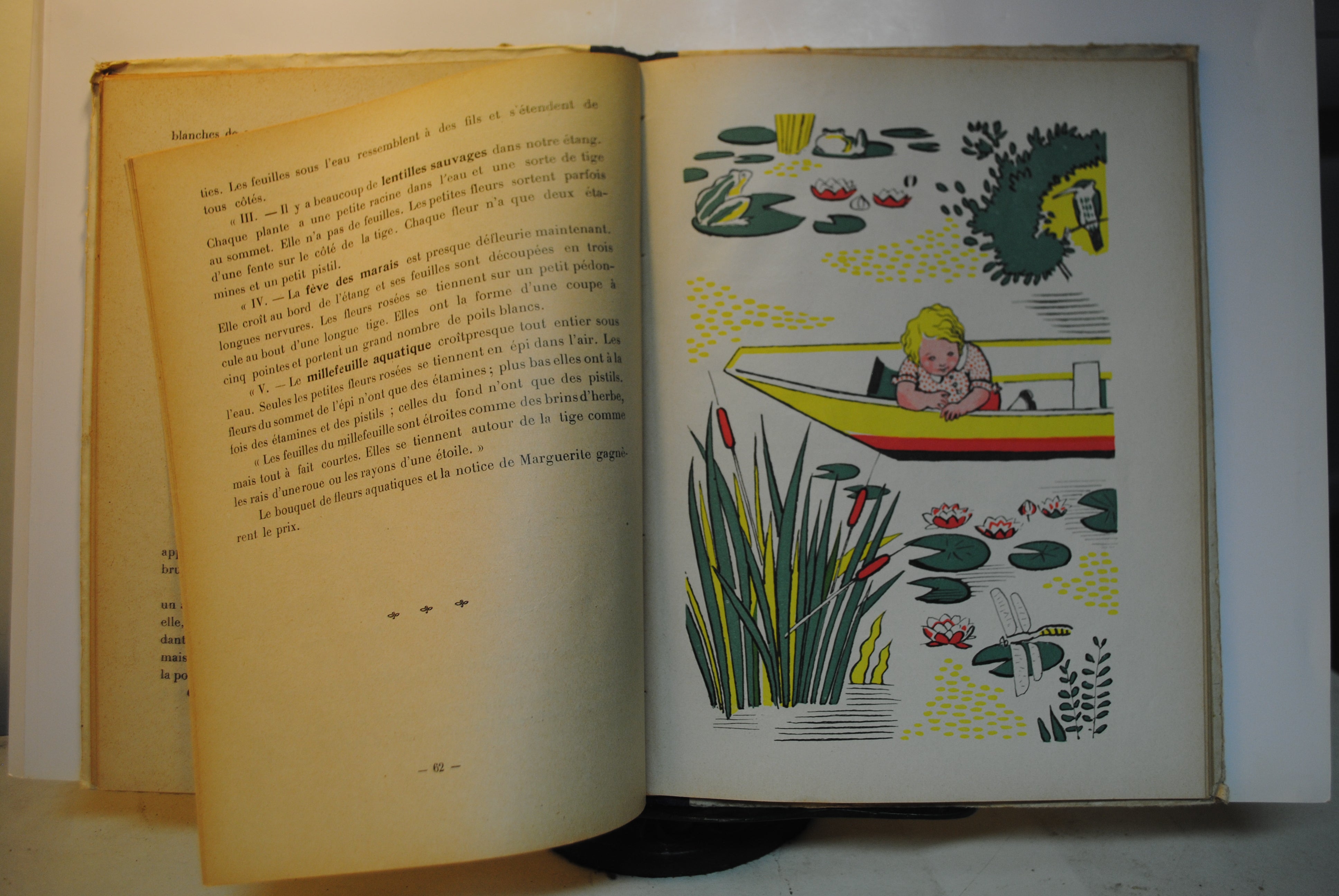 La Vie Des Animaux et des Plantes dans les jardin