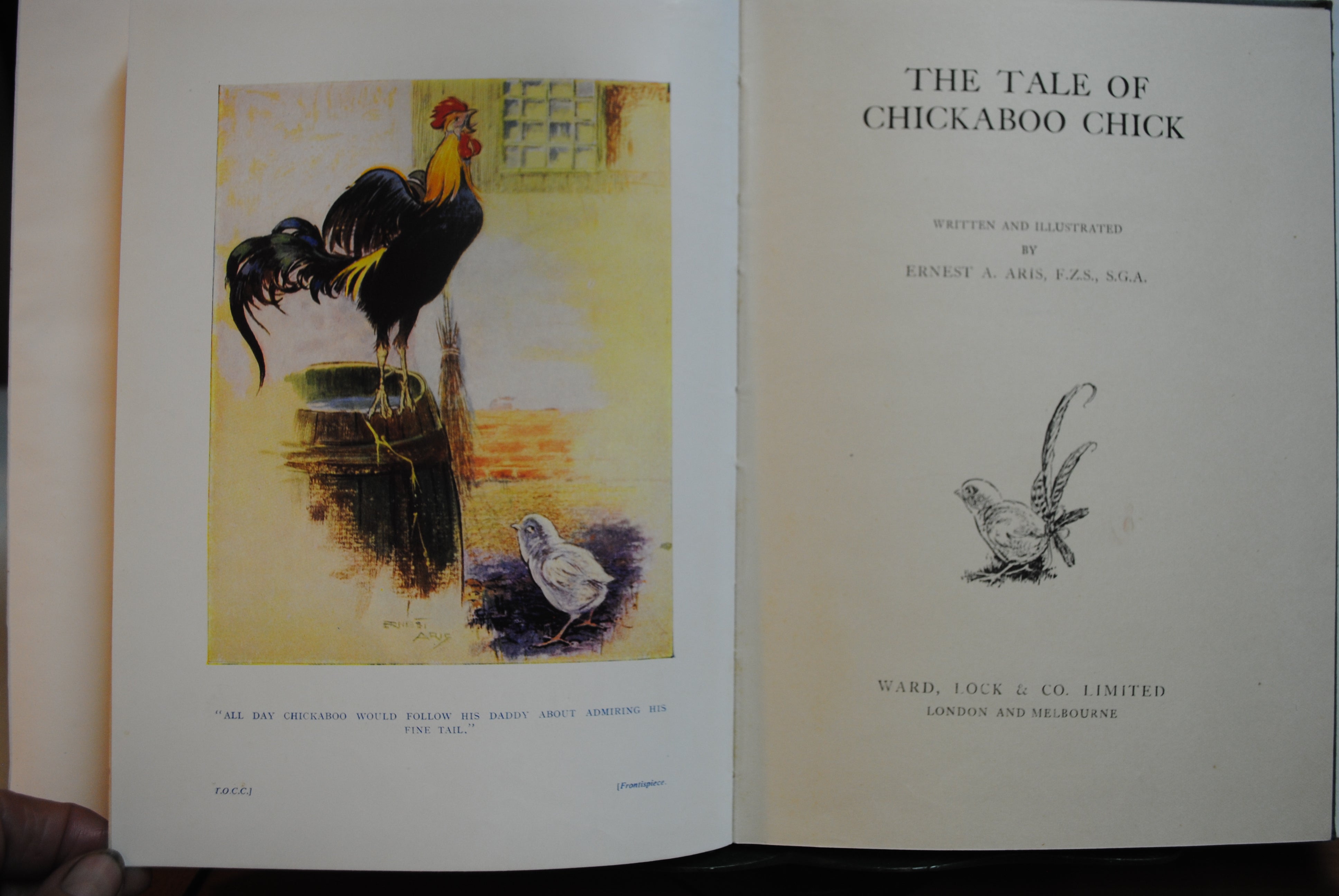 The Tale of Chickaboo chick