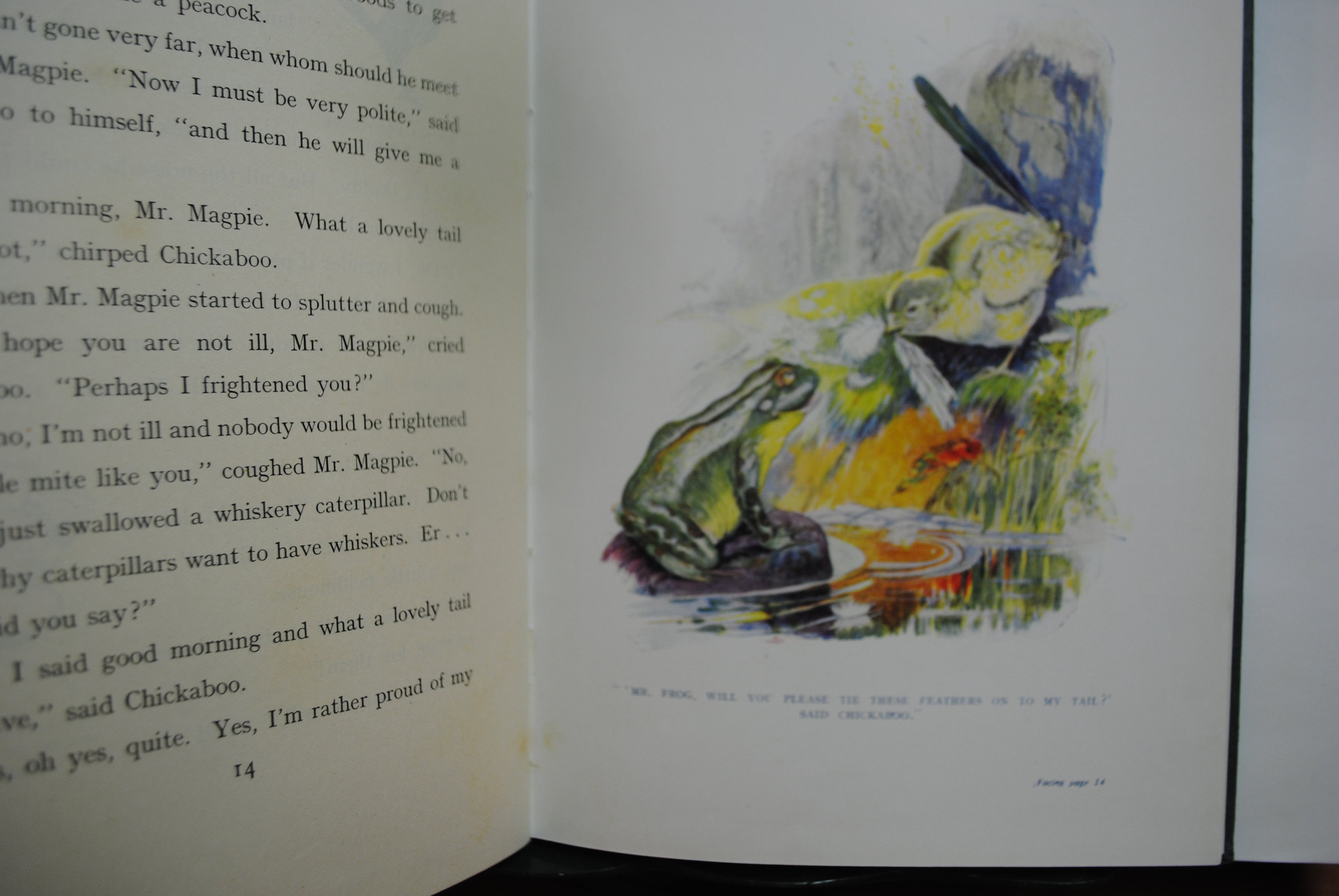 The Tale of Chickaboo chick