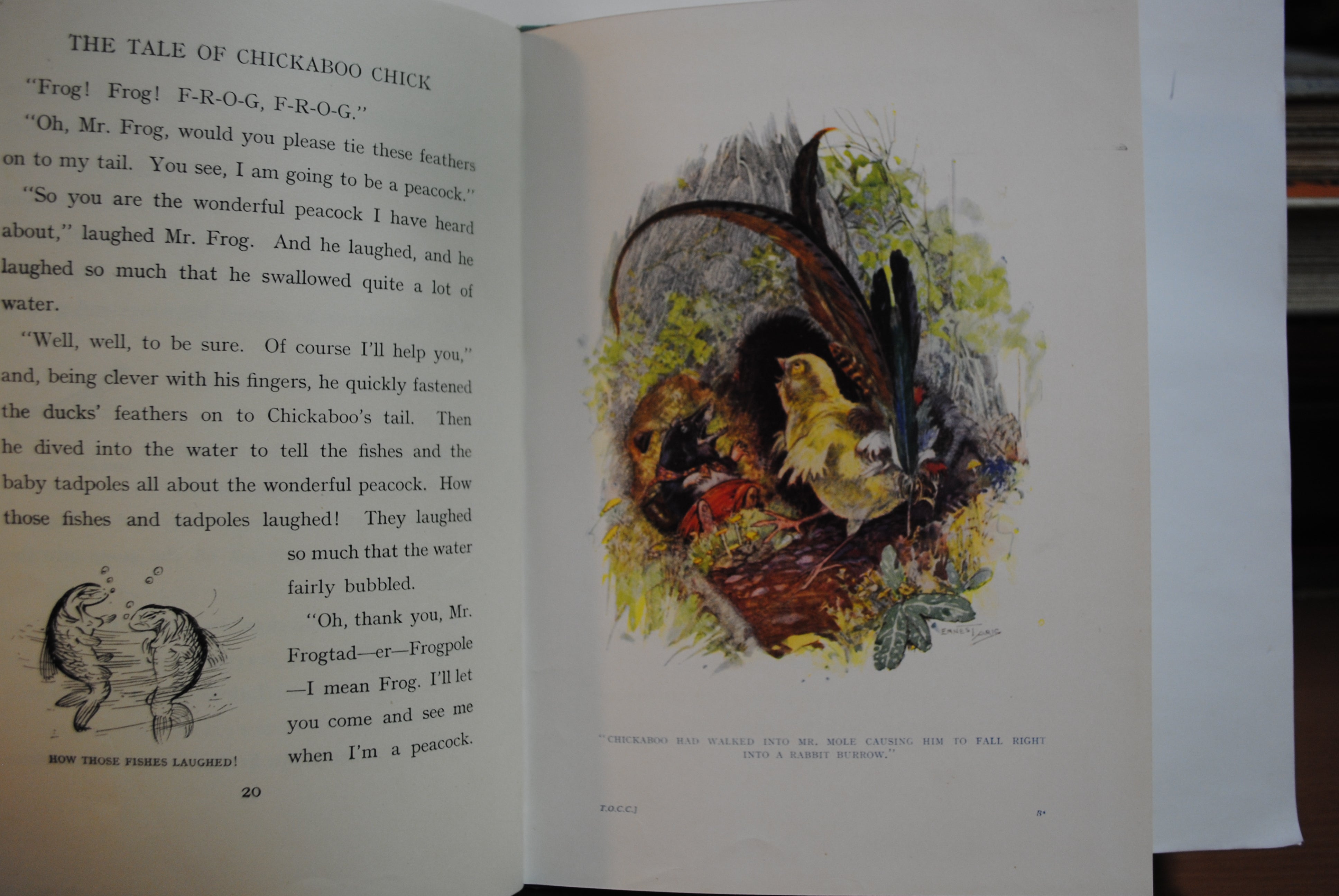 The Tale of Chickaboo chick