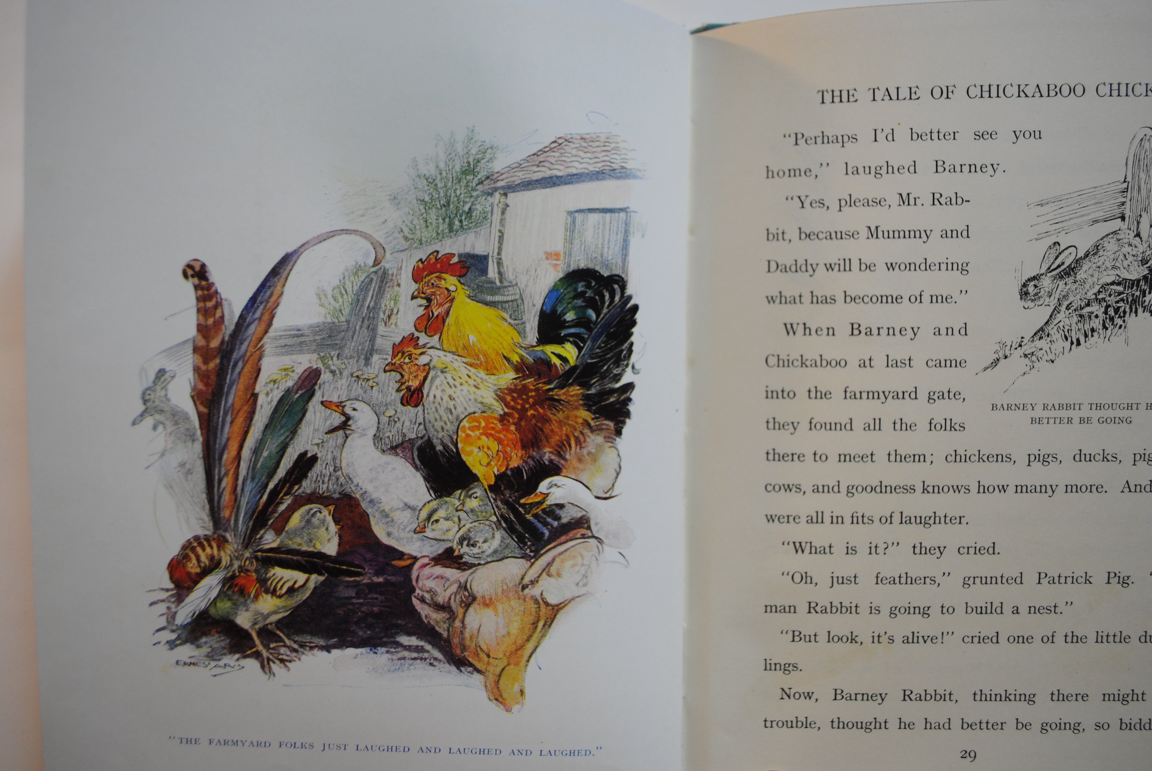 The Tale of Chickaboo chick