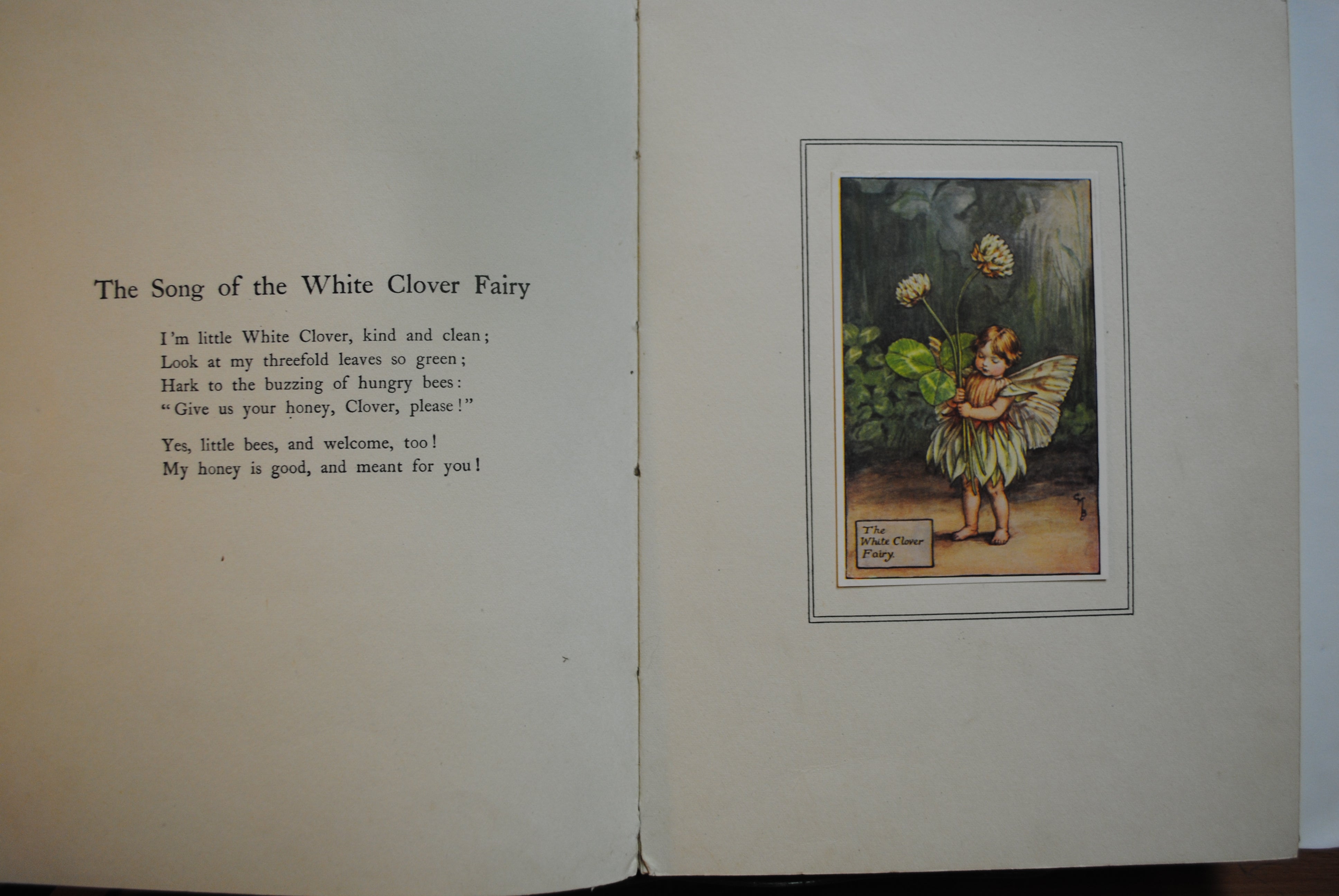 Summer songs with Music  Flower fairies of theSummer