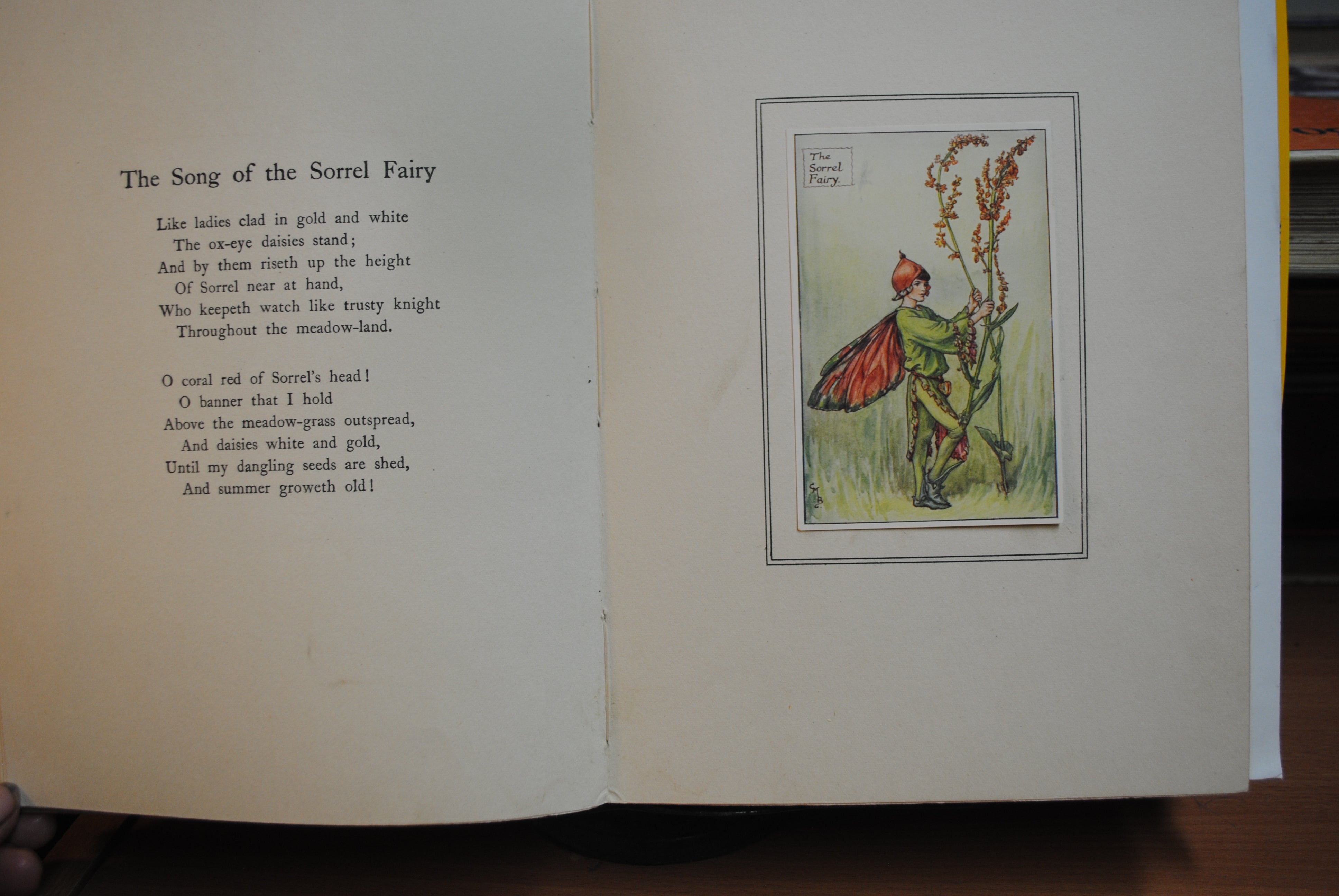 Summer songs with Music  Flower fairies of theSummer