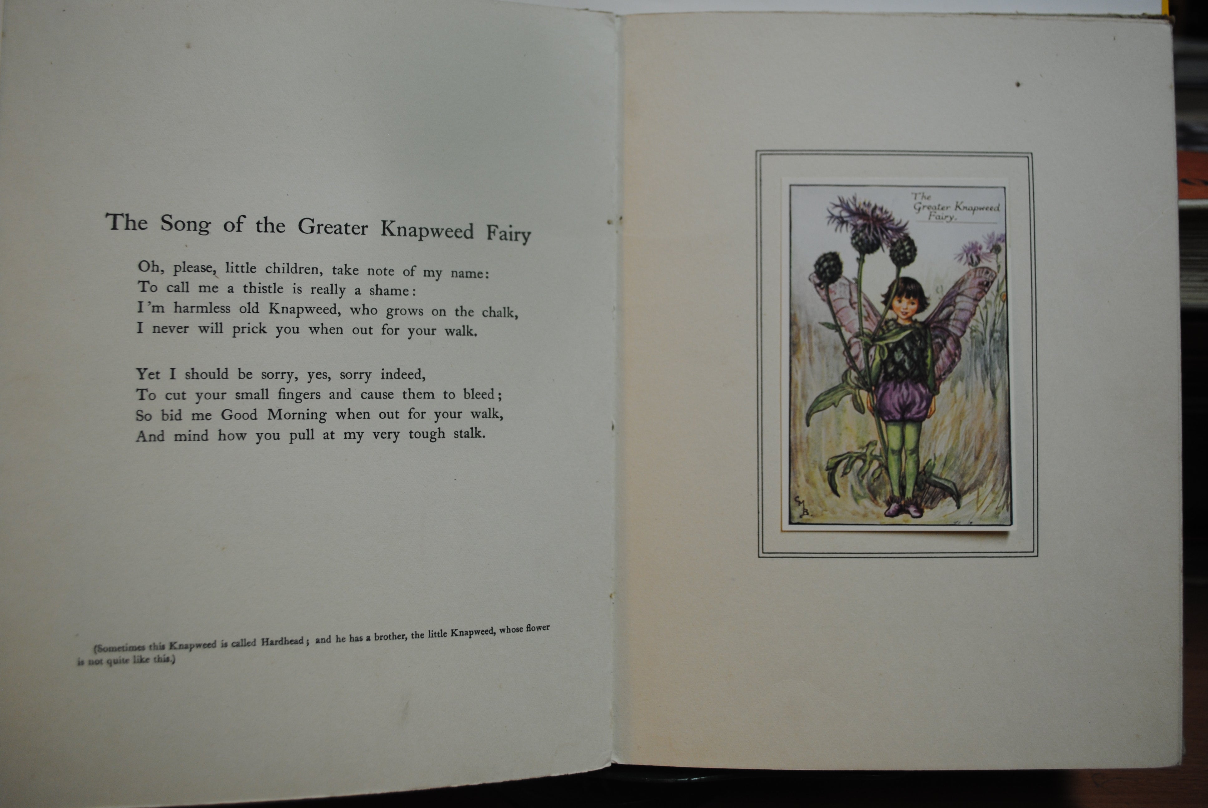Summer songs with Music  Flower fairies of theSummer