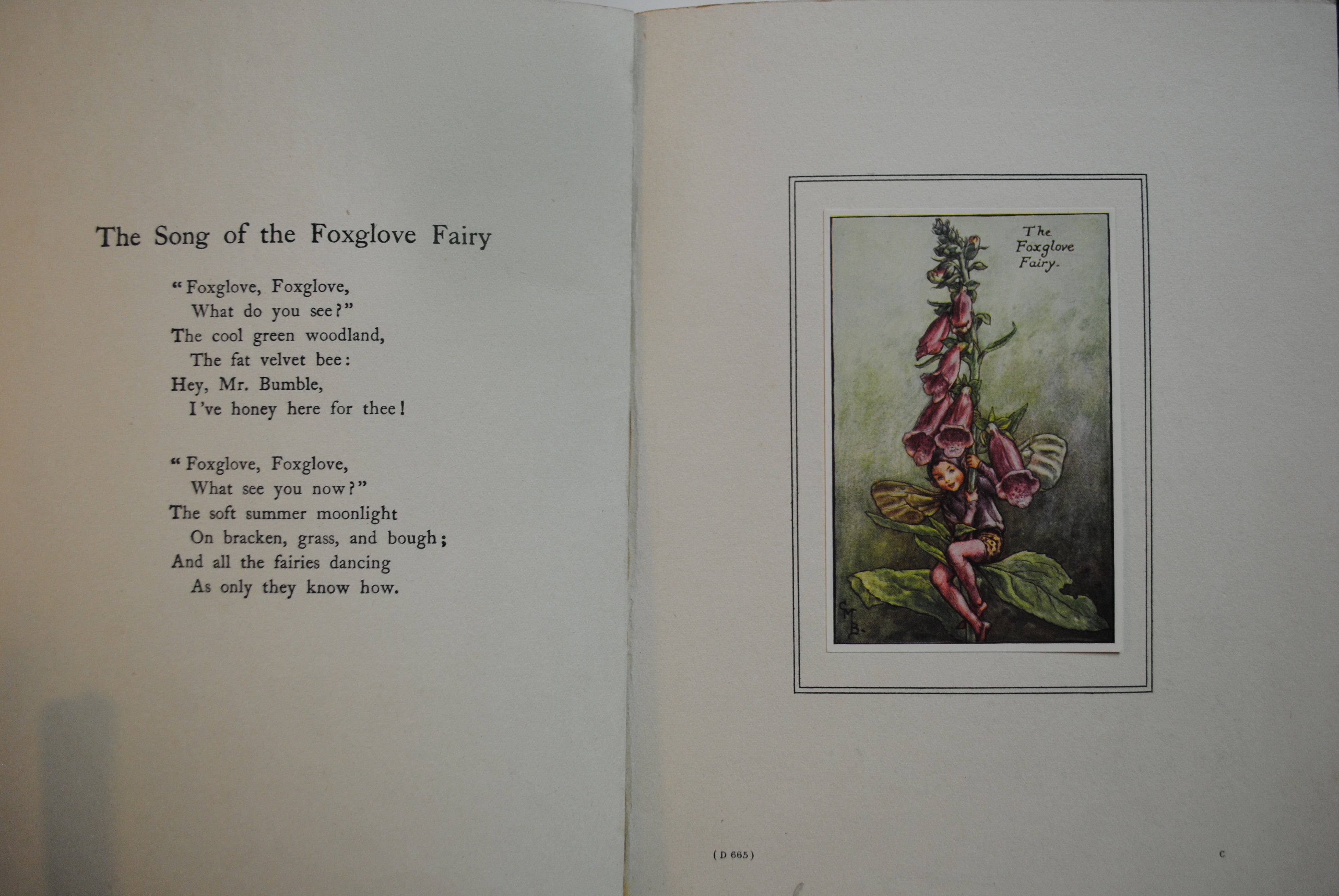 Summer songs with Music  Flower fairies of theSummer