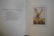 Summer songs with Music  Flower fairies of theSummer