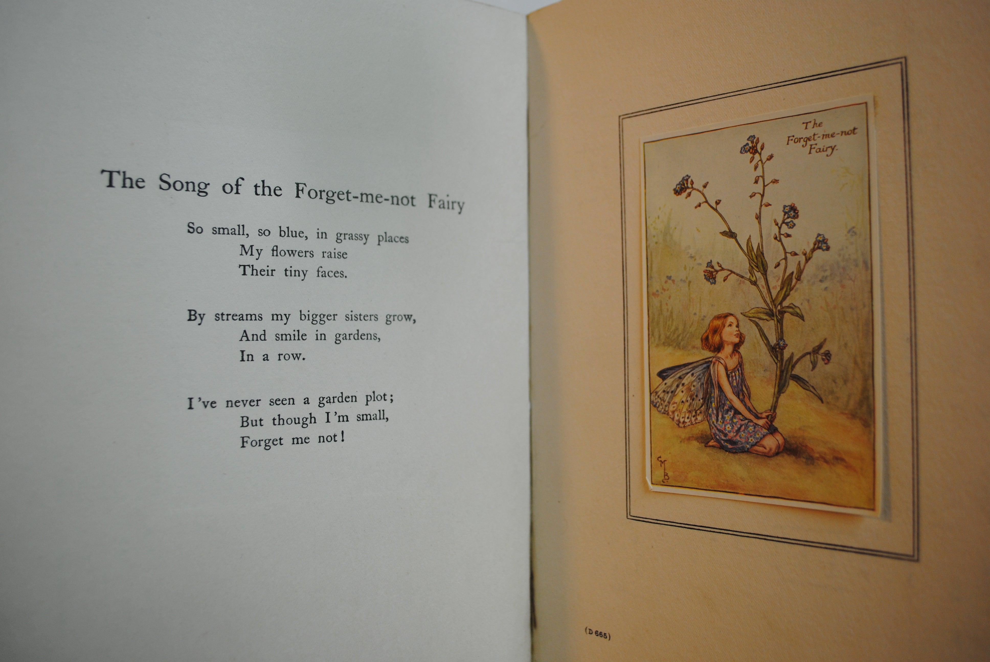 Summer songs with Music  Flower fairies of theSummer