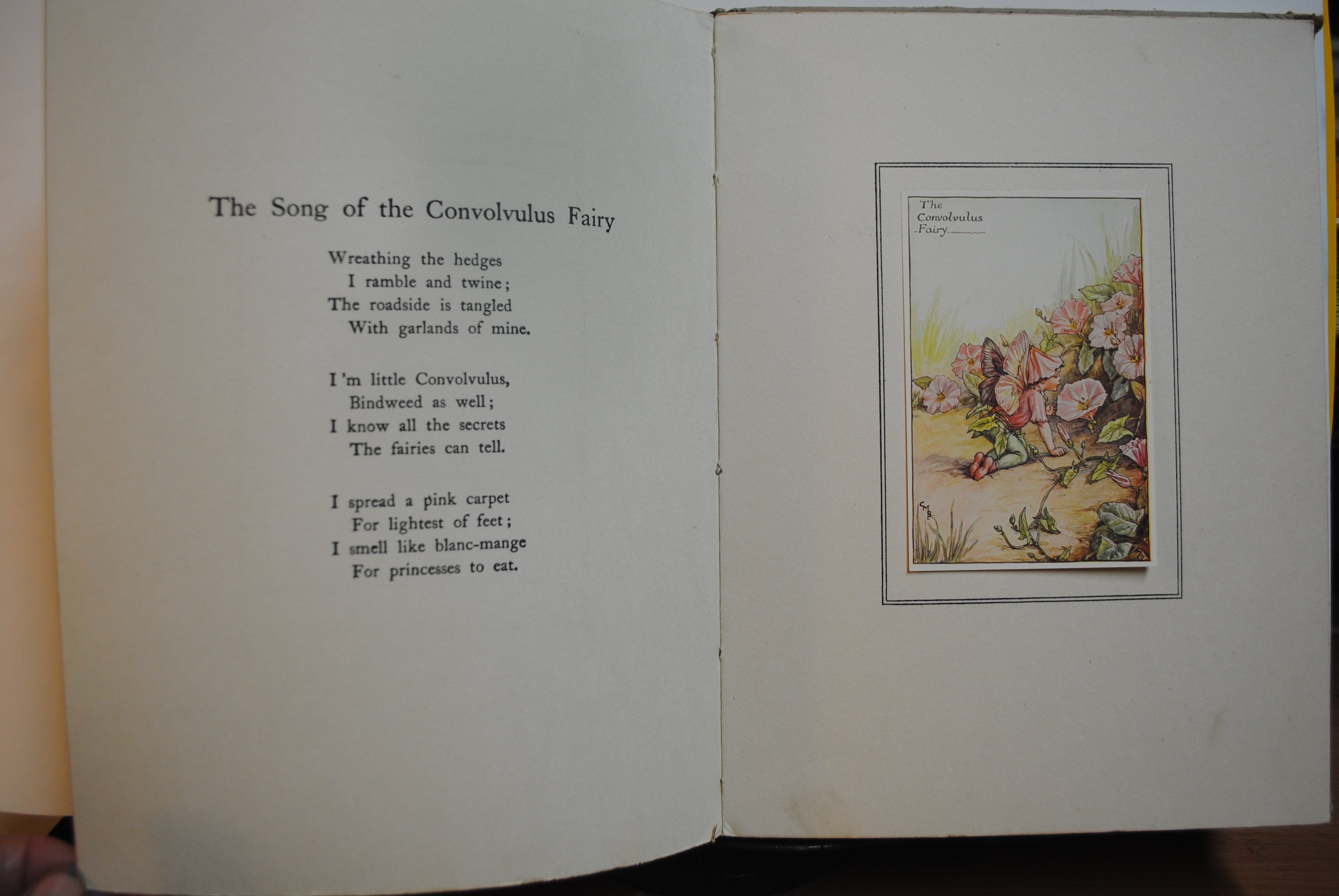 Summer songs with Music  Flower fairies of theSummer