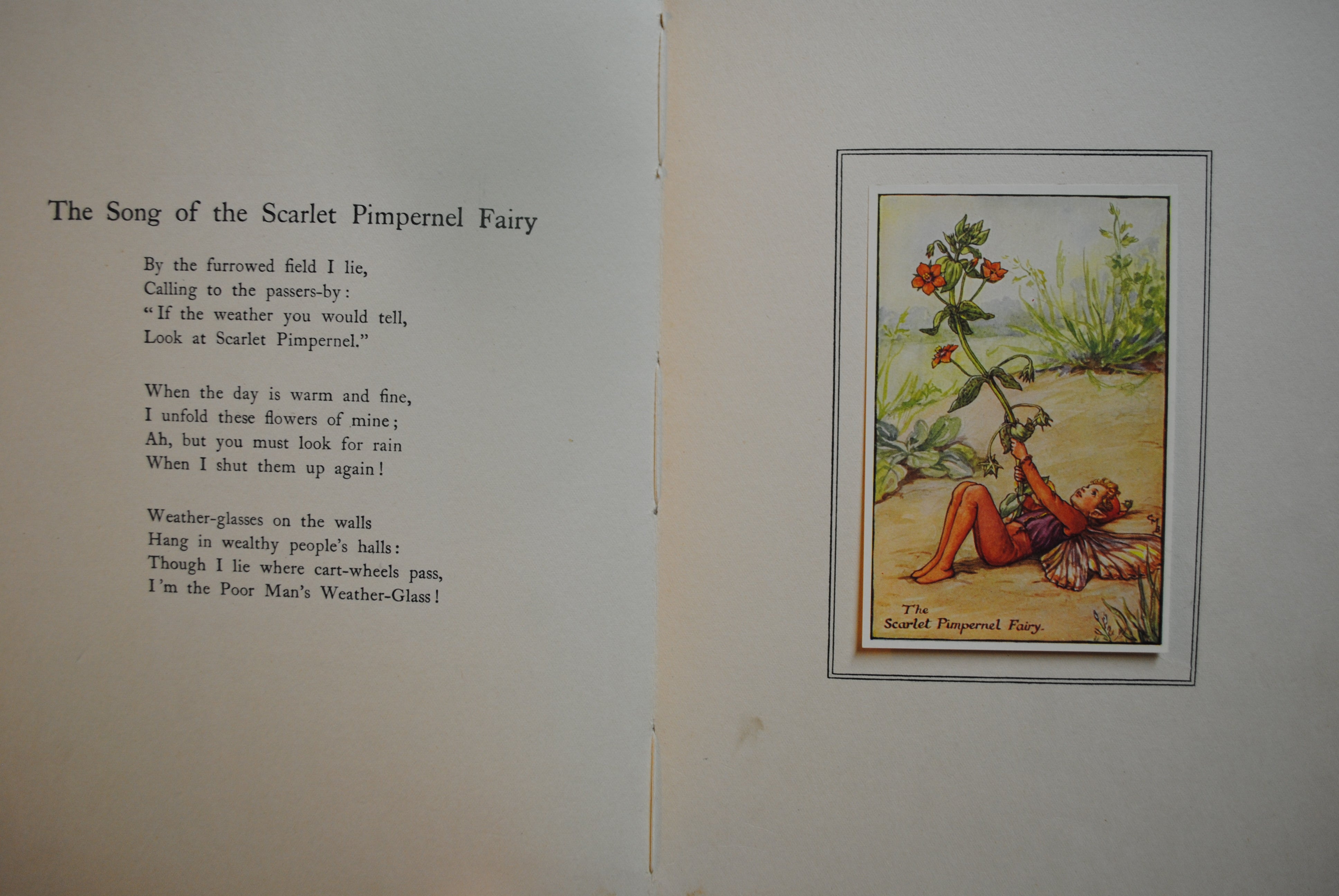 Summer songs with Music  Flower fairies of theSummer