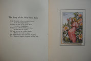 Summer songs with Music  Flower fairies of theSummer