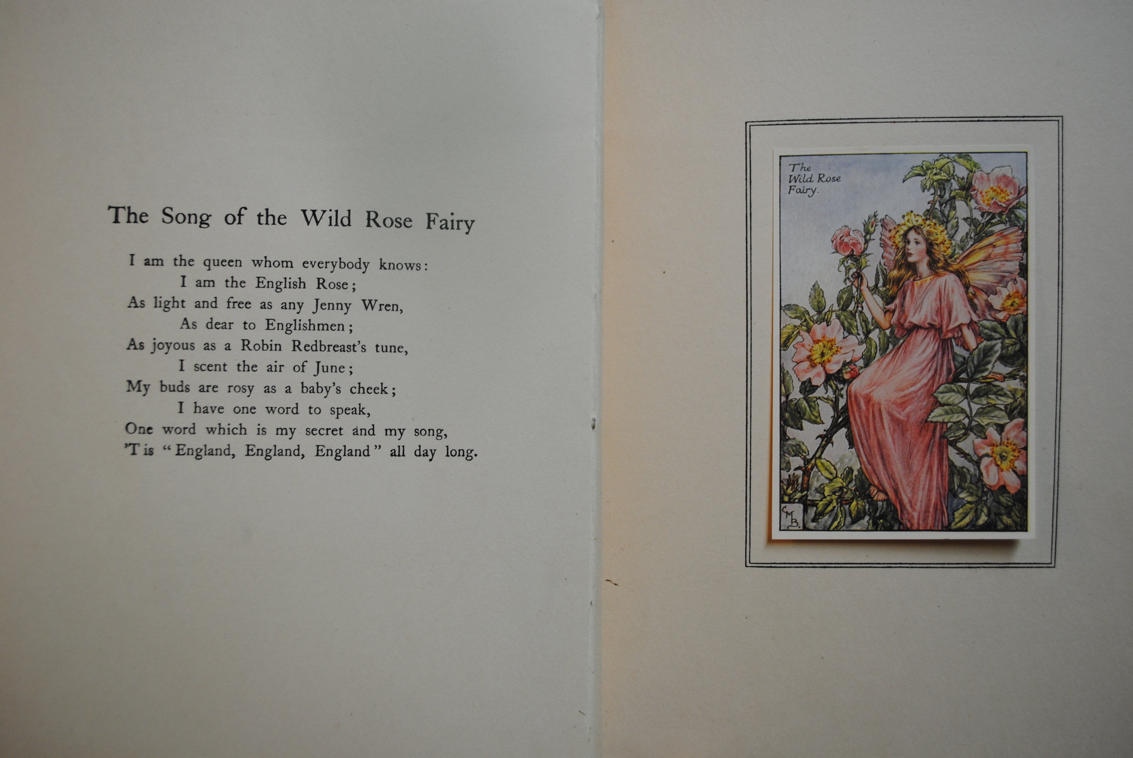 Summer songs with Music  Flower fairies of theSummer
