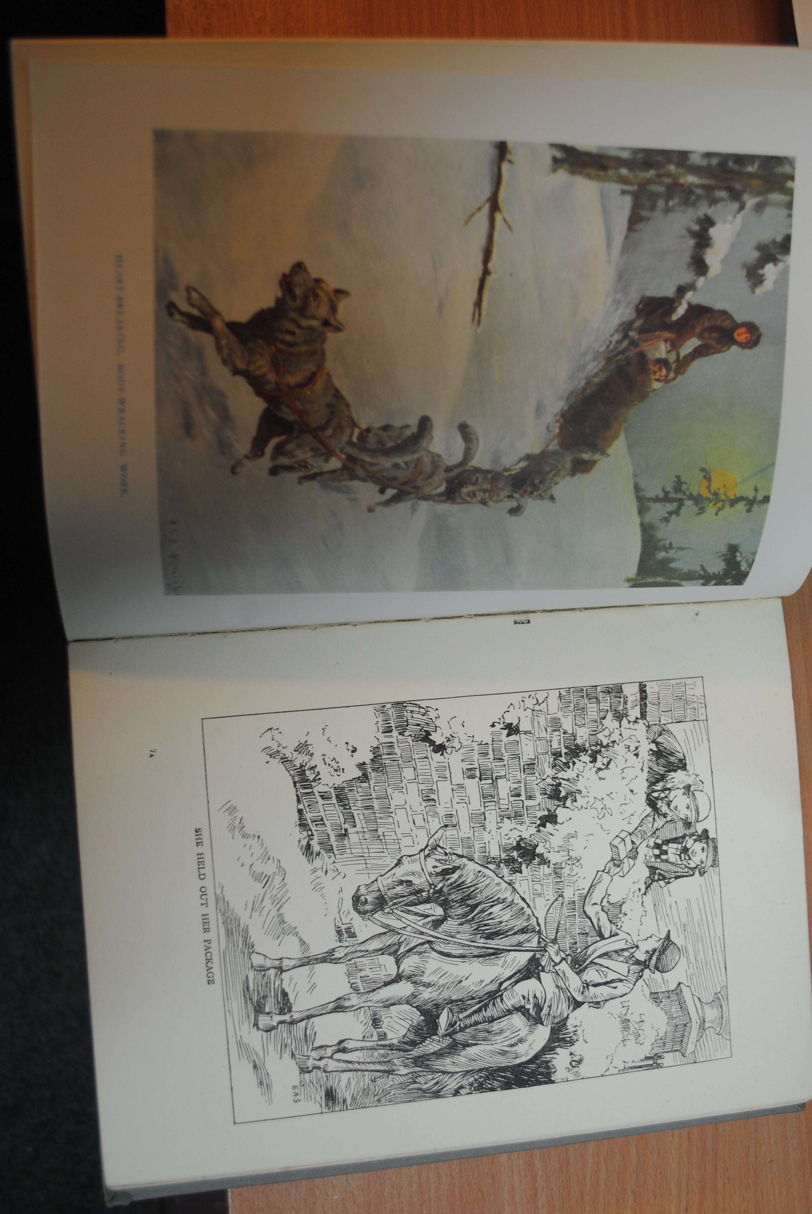The Adventure Book for Girls
