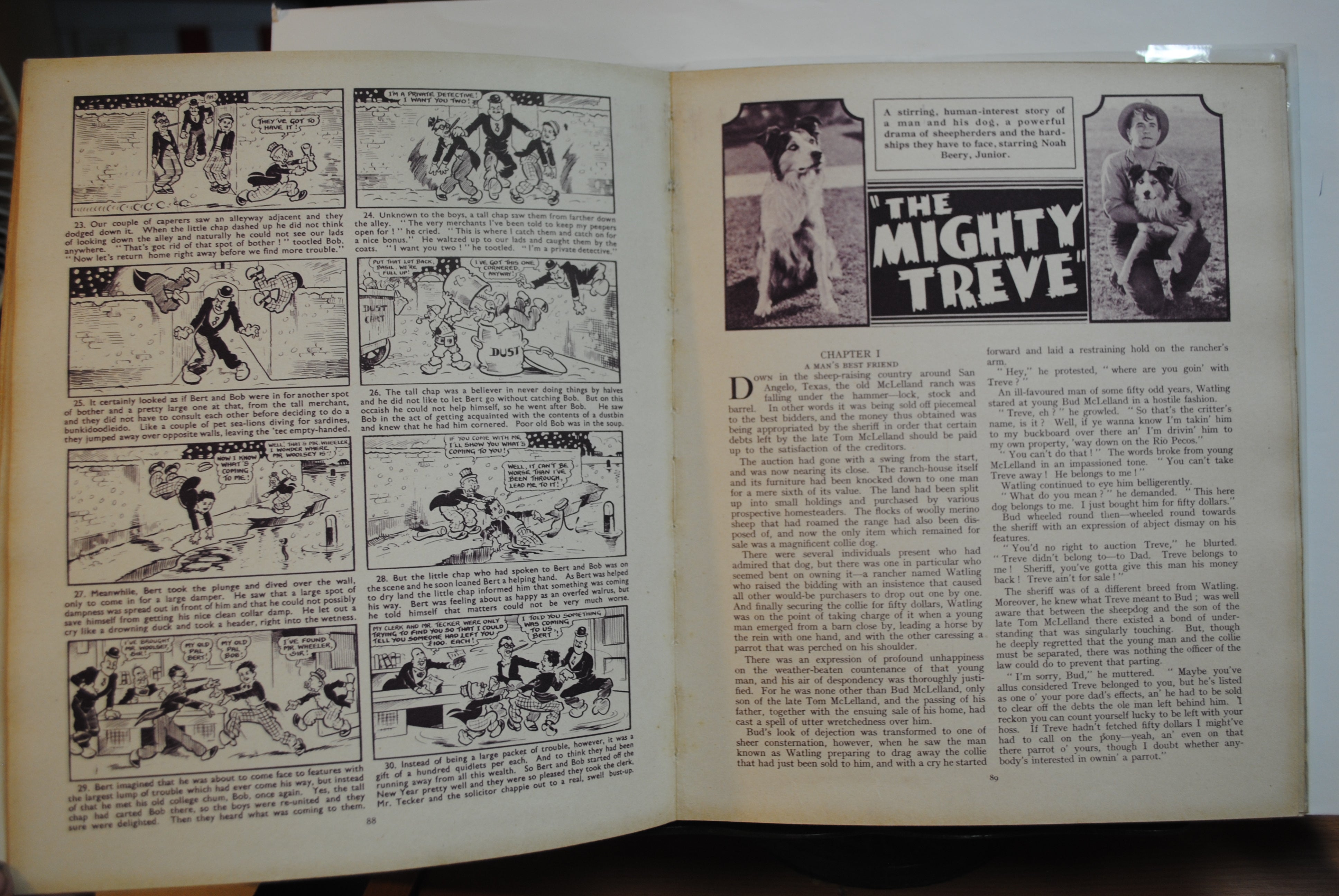 Film Fun Annual