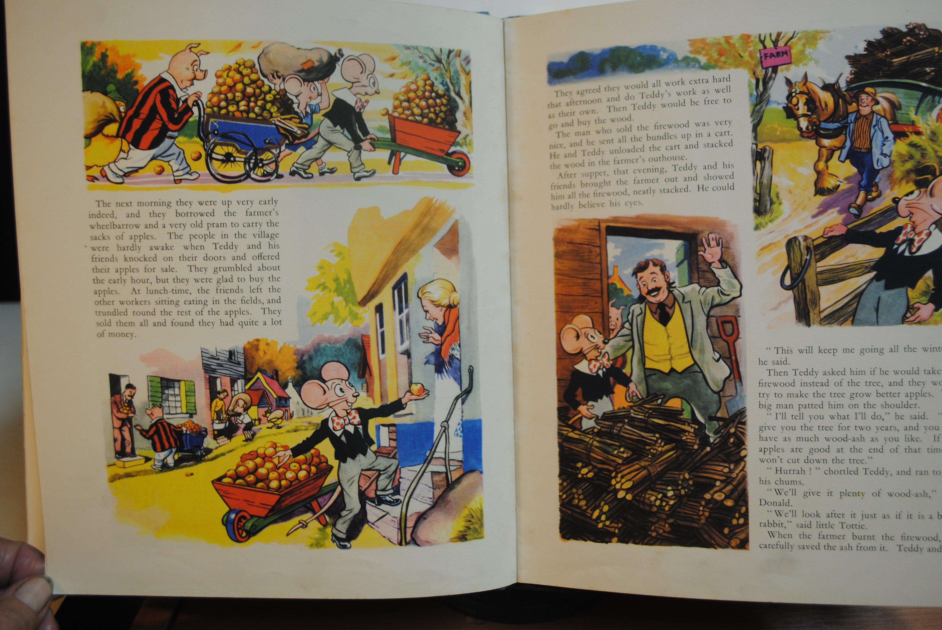 Teddy Tail Picture and Story Book