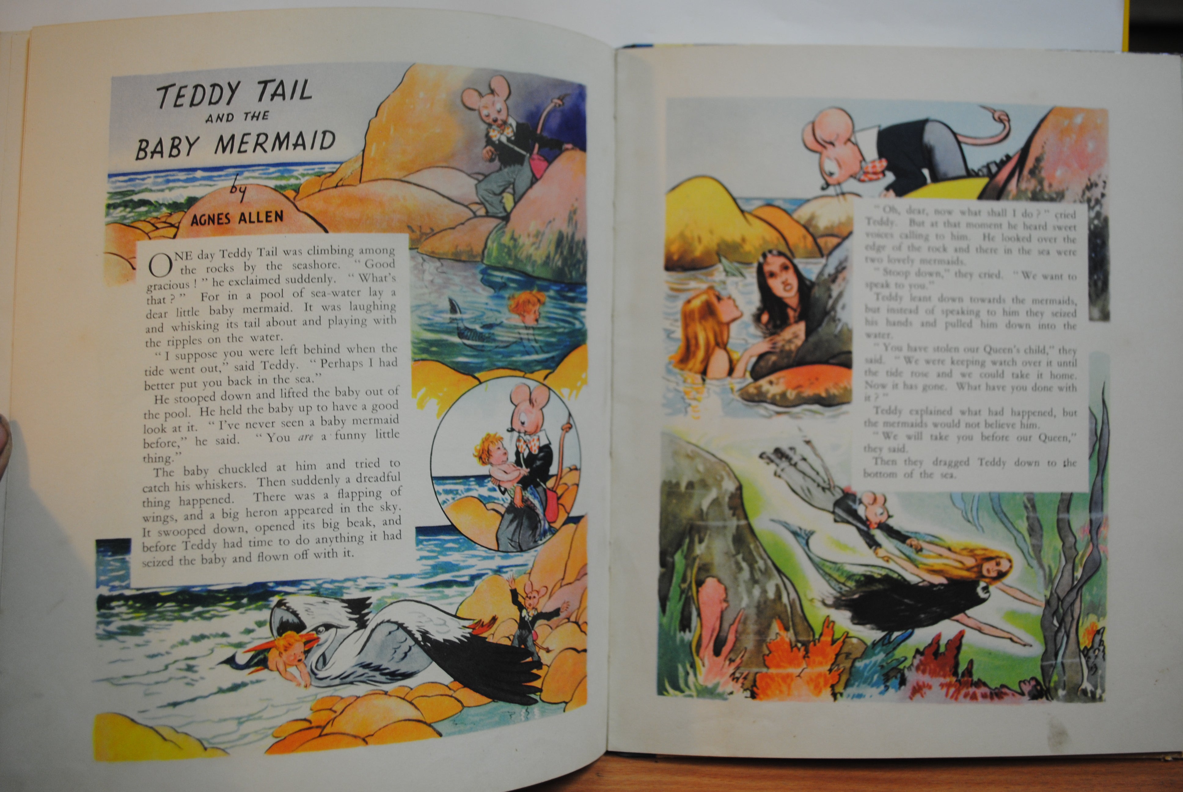 Teddy Tail Picture and Story Book