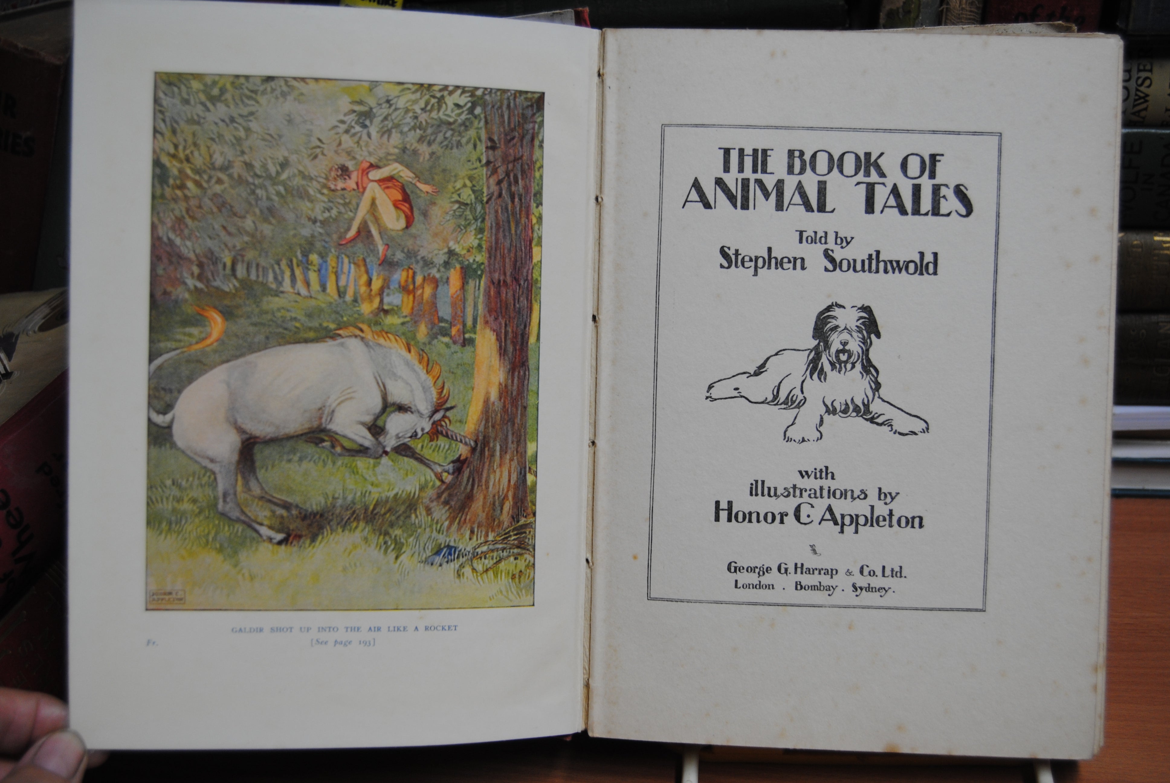 The Book of Animal tales
