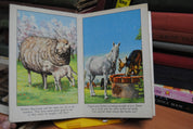 My Animal Book