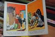 My Animal Book