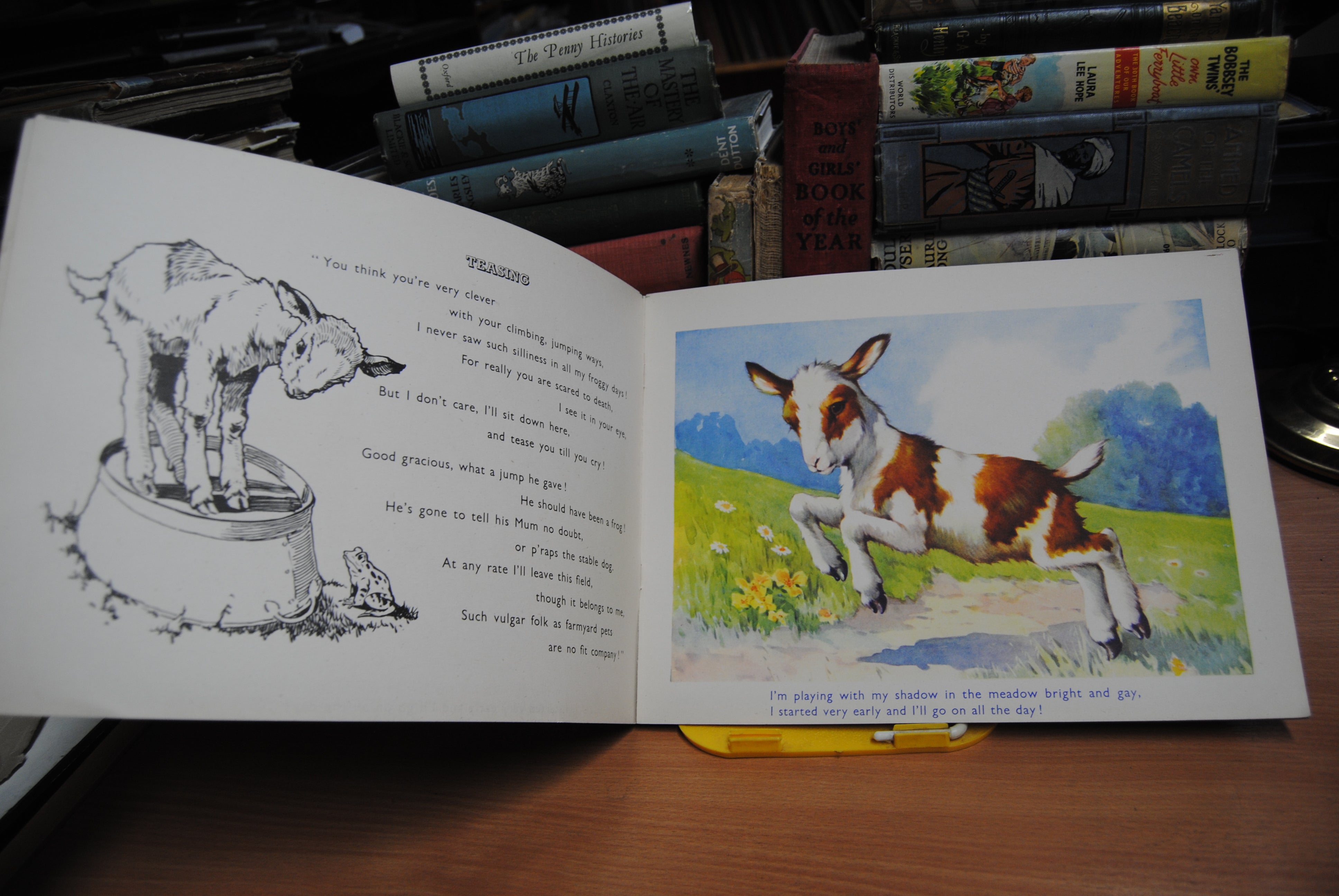 Farmyard Favourites