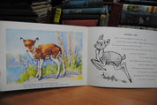 Farmyard Favourites