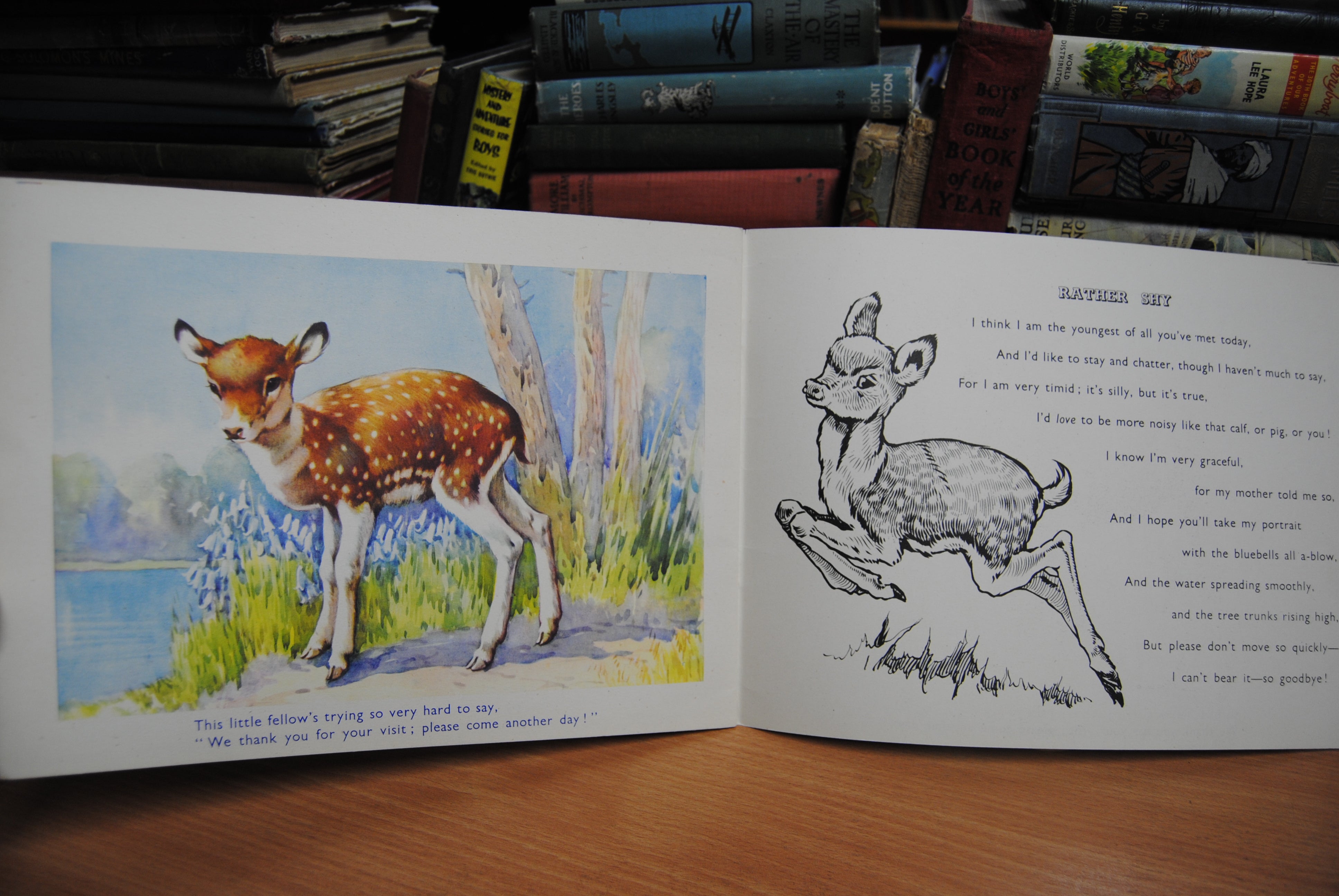 Farmyard Favourites
