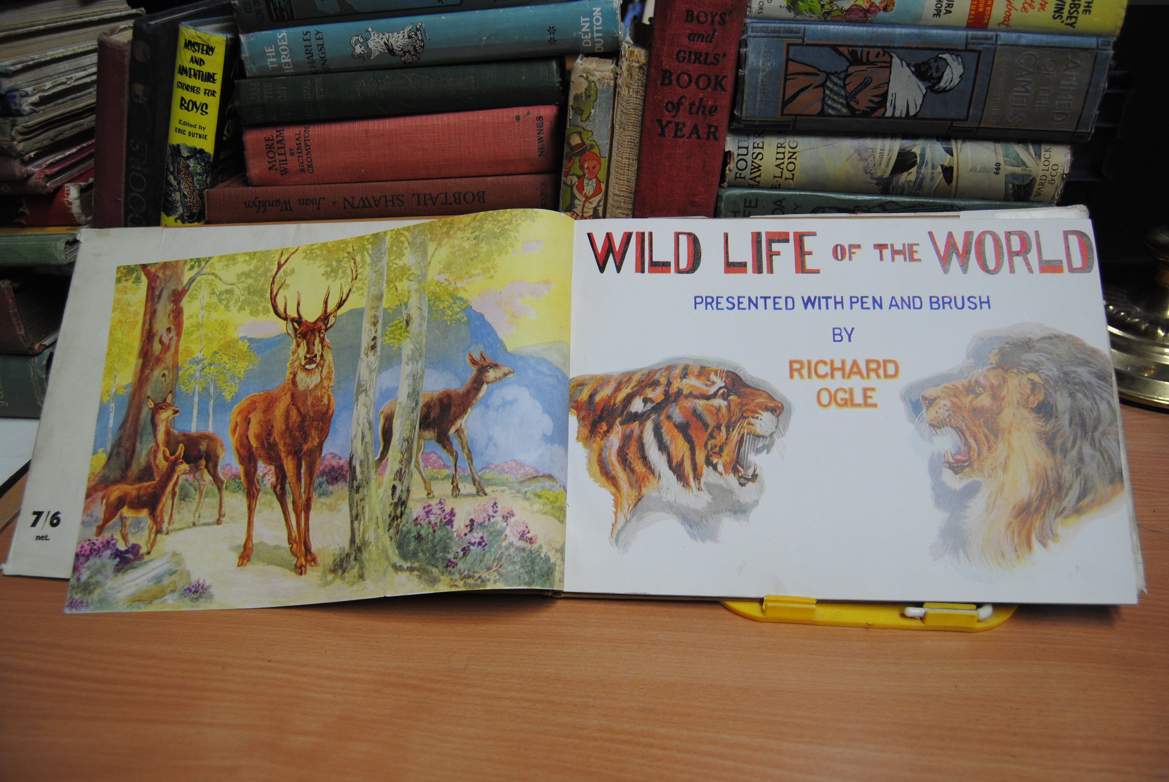 Wild Life of the World