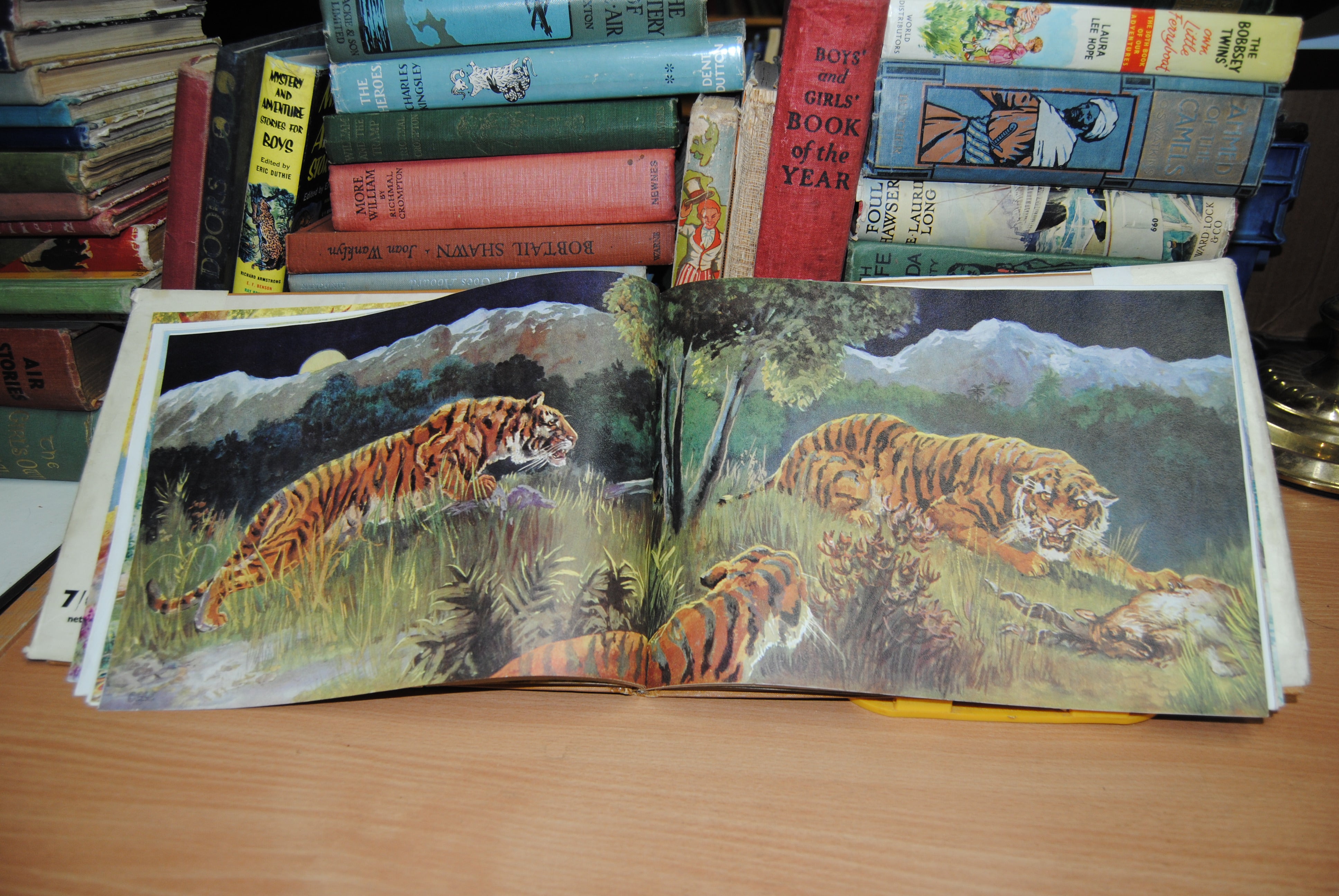 Wild Life of the World