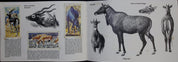 Brooke Bond Picture Cards   Asian Wildlife